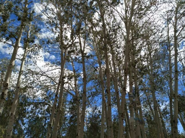 O3mljc06hl_8wdAJDDo_hD6crG21U0QmbaOrrvOuPFJn5d5TZdLm4VCN3B7a3wGS