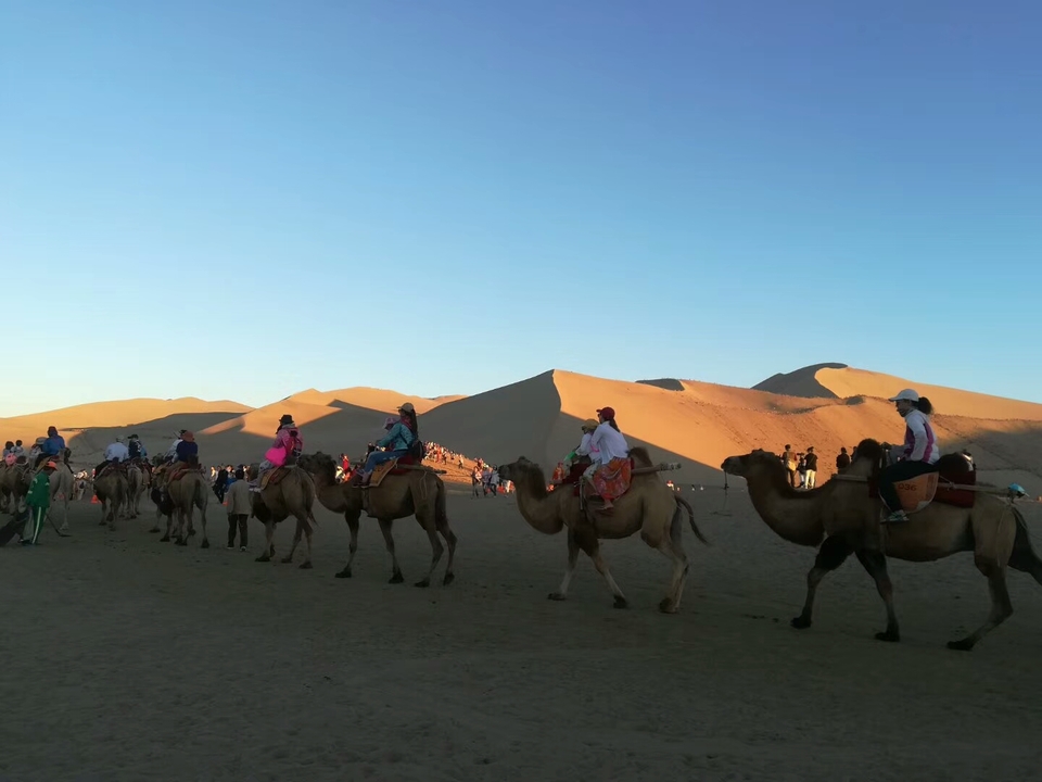 F4514izByEh8_0i65j4HwgHmmrBSMtzU8NOCFJI1VE-Nr3cI8P9pDxn8XFW4wJv-