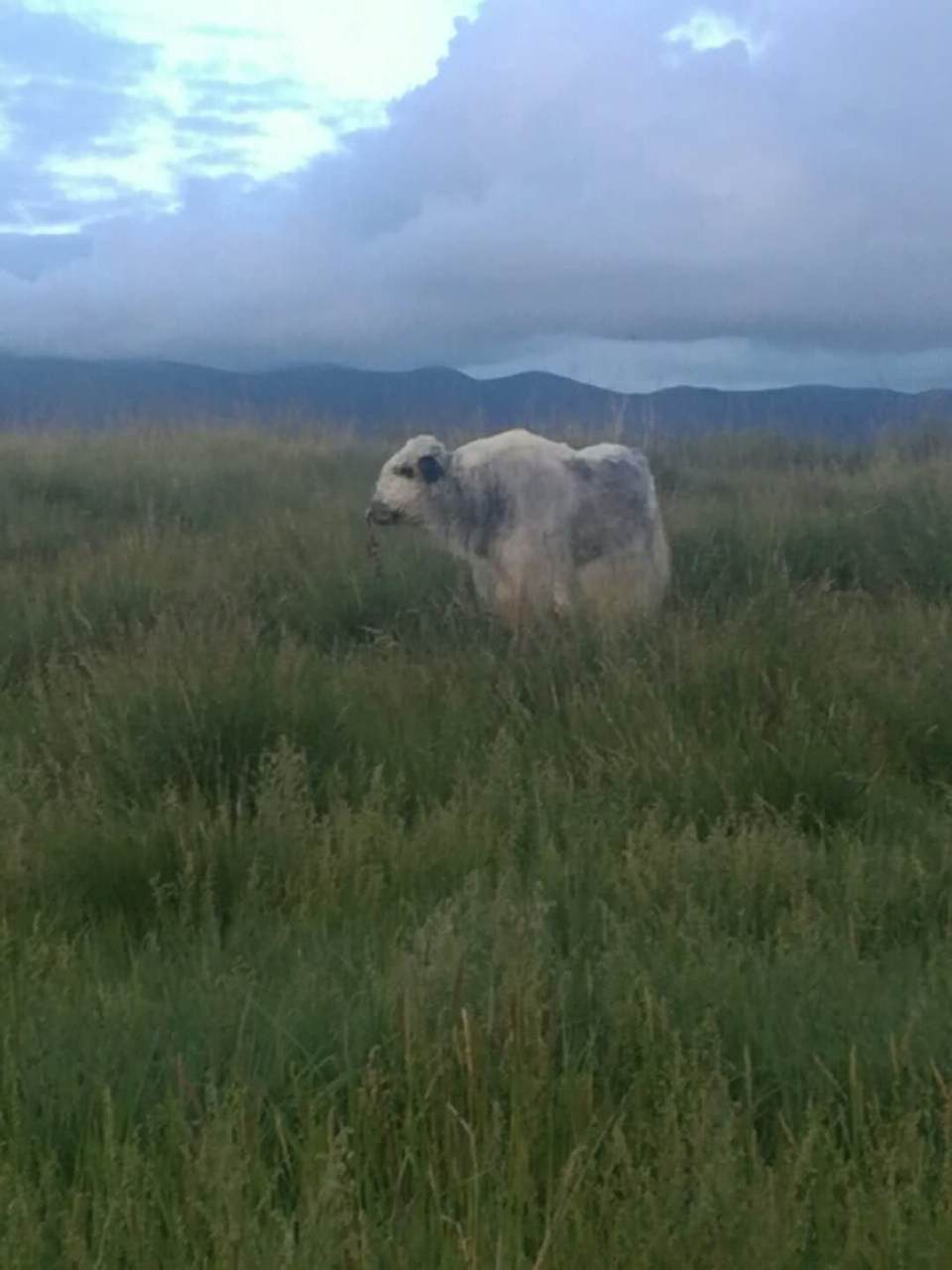 iGfj5P1Qld46-3aUqqnY_fKY4Ql8nPrC2_LfE5dzvbe4rIHLNLOOHGlKc0xKqaps