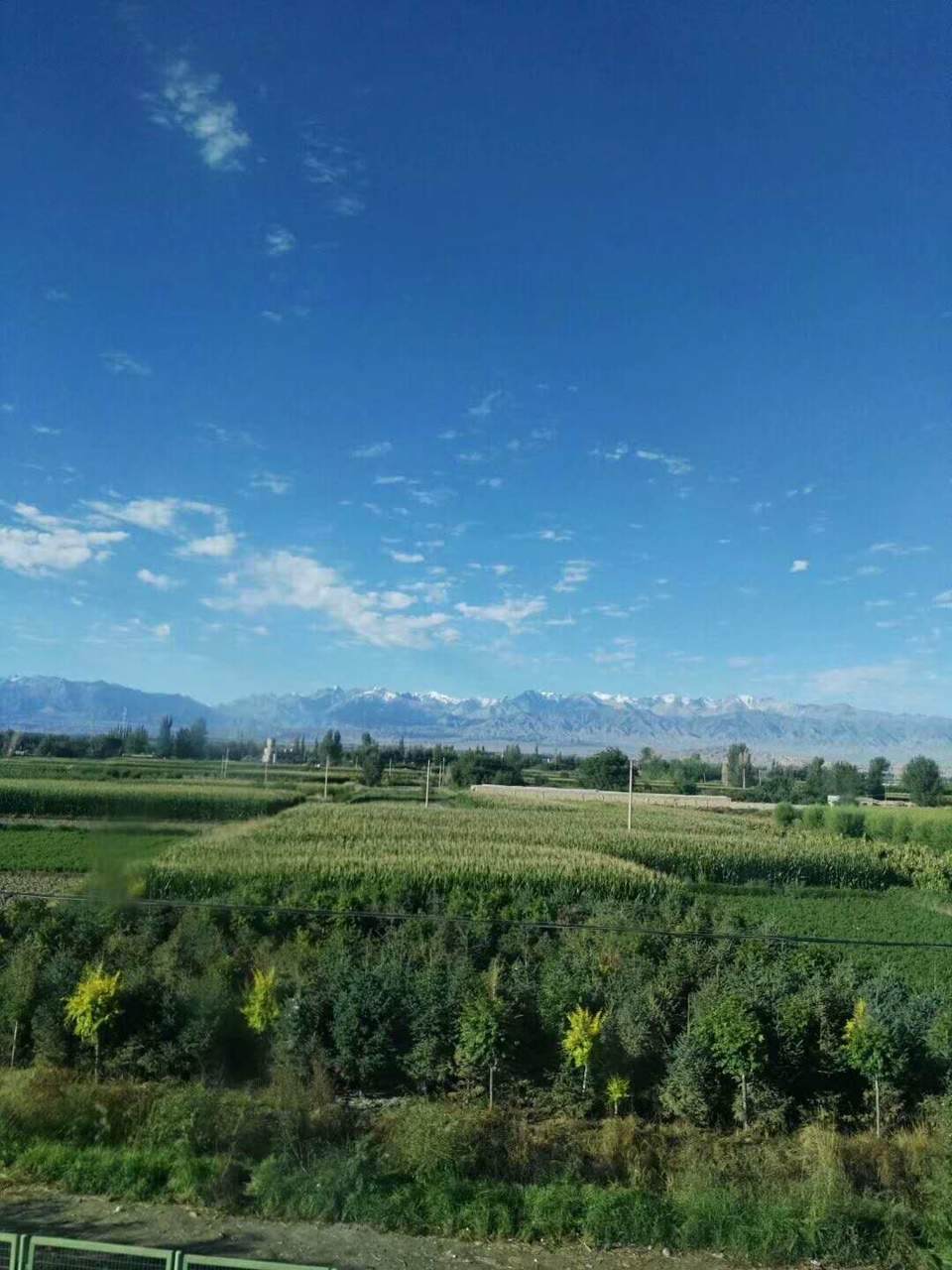 qAOsXWG-RmJXgRo5o6CO9GR9uIHtnqY2Wn6p5eY9esVxxT9kzKaYXsKiFZQ99w0G