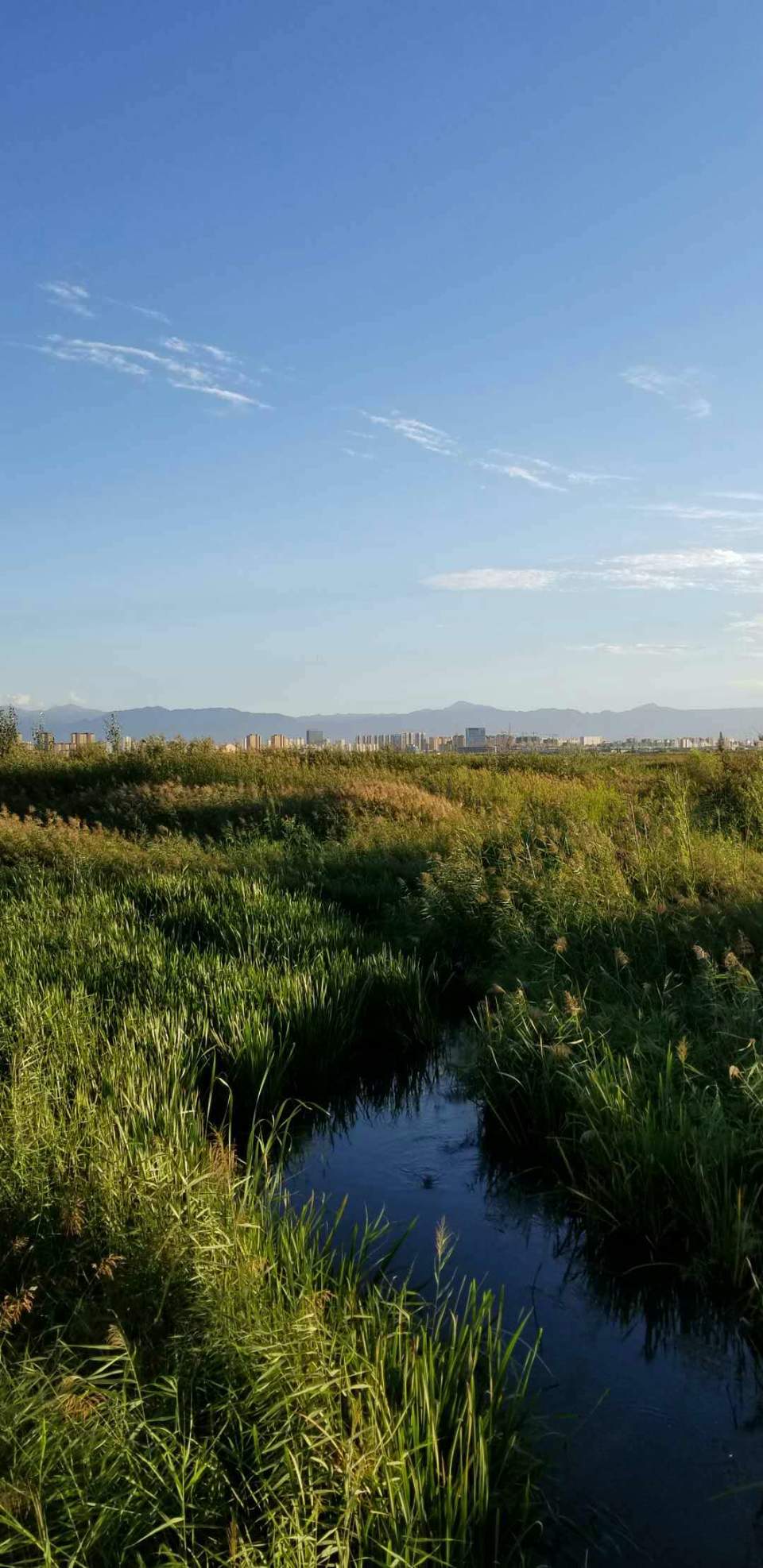 sNjDh0mnzDZbv3aObzuPG6PoVunm5xVMZWT25uuB3CFtcC_VHQMY5bfljnQd6S64