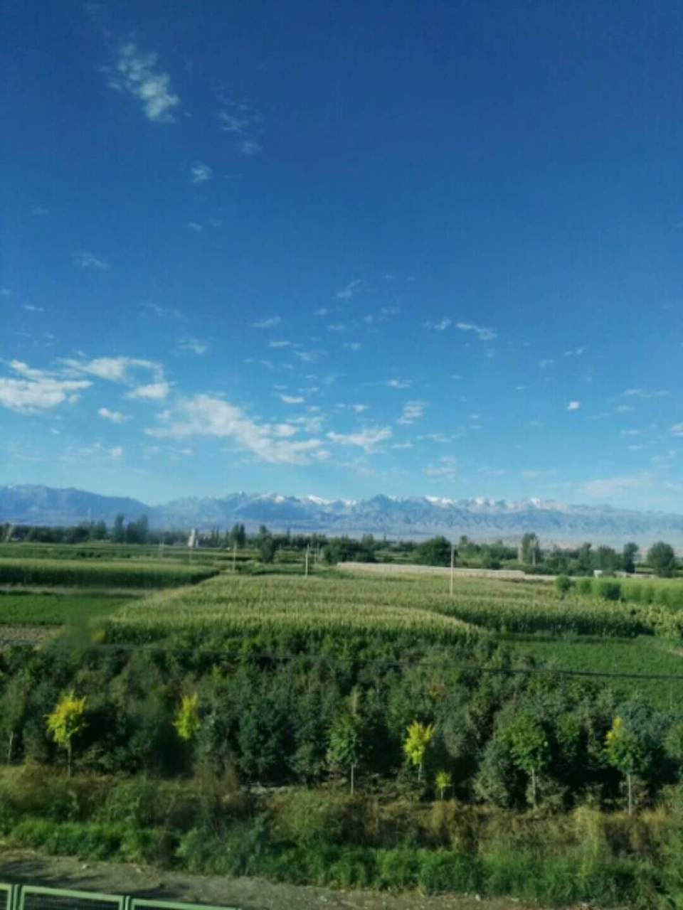 9tMZb5xuH9DaCcChP8FVYYEaeMsawTeU_mlreY27Gl1SbZOooTJm6yeWHwA_S3I7