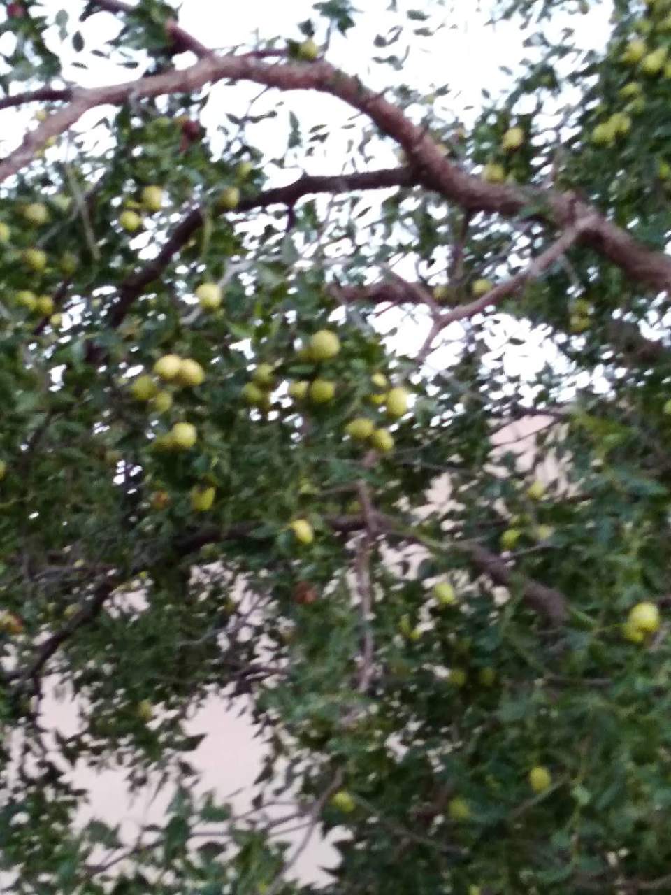 8SG7Dyo9mFSATI7tQufucZQ2YvoQn_0DwbNV_2qD8KvkpKKwgDI6n6nGIbyqxMu4