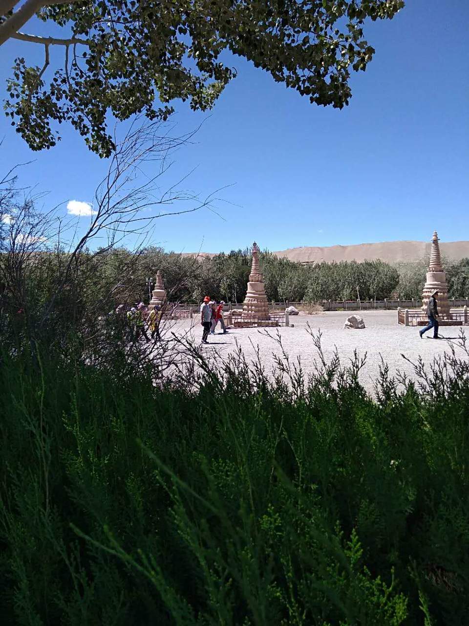 8K-j46925CGh7UvNYDSrHutT5G3Q6LiXgdiISS6pcnTElV-RQ8WqeQ3lZ803_w-F