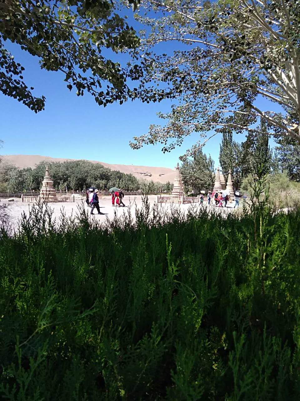 ajgGBsjSzJCKrWWbBiJ_ll1d9SbhyvCU-6IgAgV4Yp-D2q-oJ7j3c1IzmKGCib86