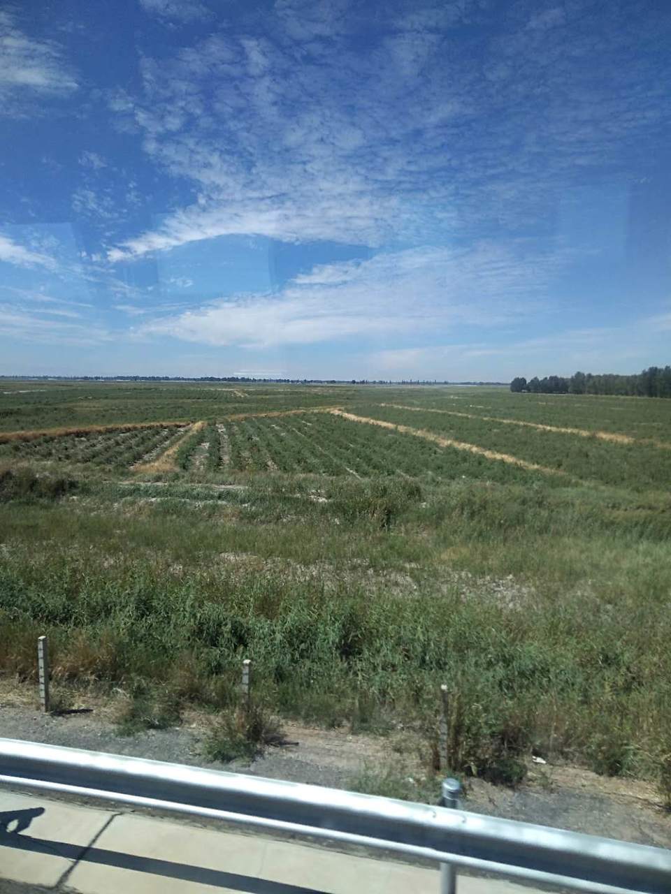 aMrVoZ3U_On8dVzIsgNb06zI1ZTr65OXNq8ovb5-8xemATeWMjKwdzMc1tphjTQQ