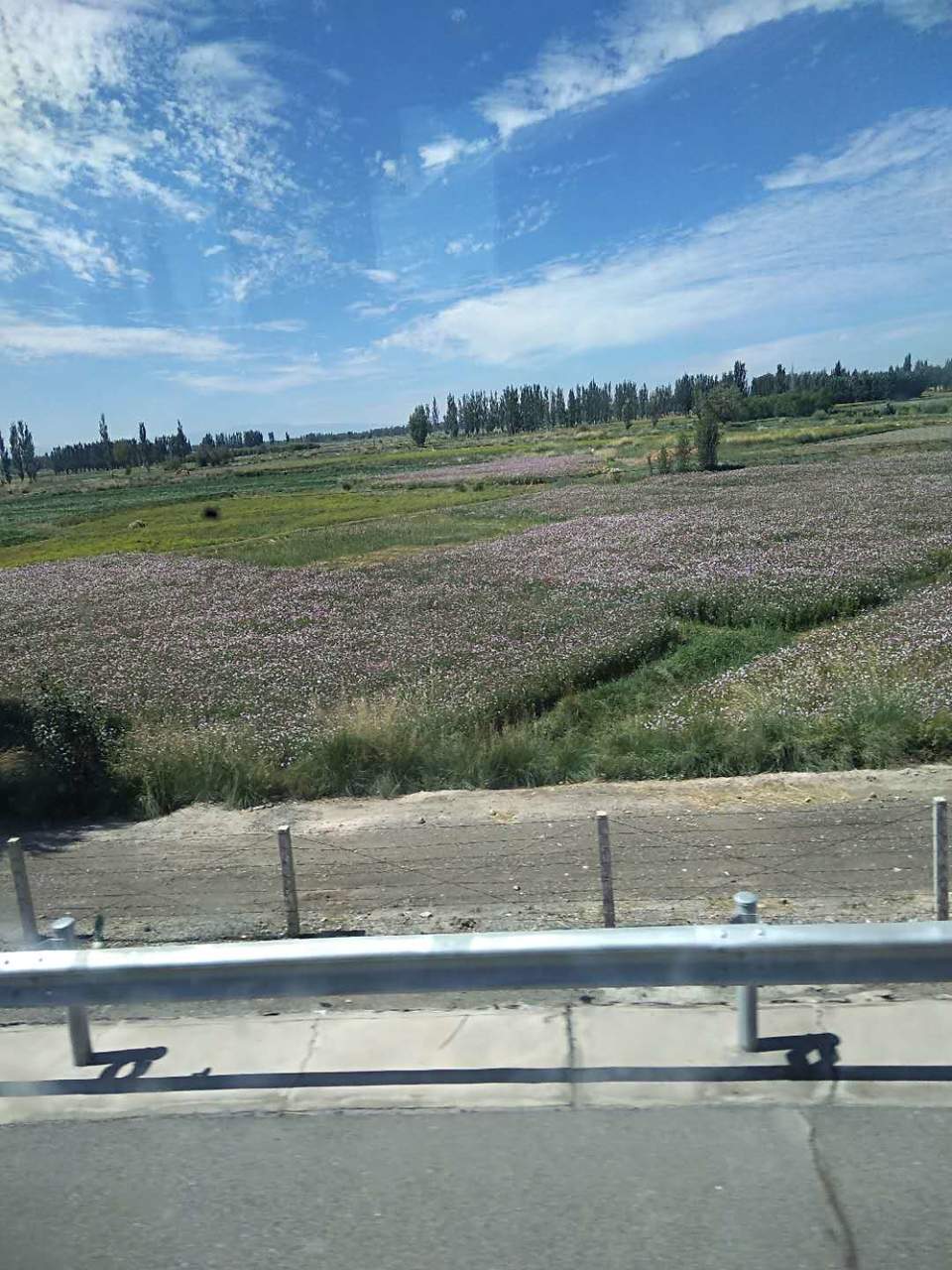 TwkxOjjXc1pb7pqzNAl3sytAkYgyv7sK0JufNL2gbTR2jFCrrS1DjzRJcQAkwKib