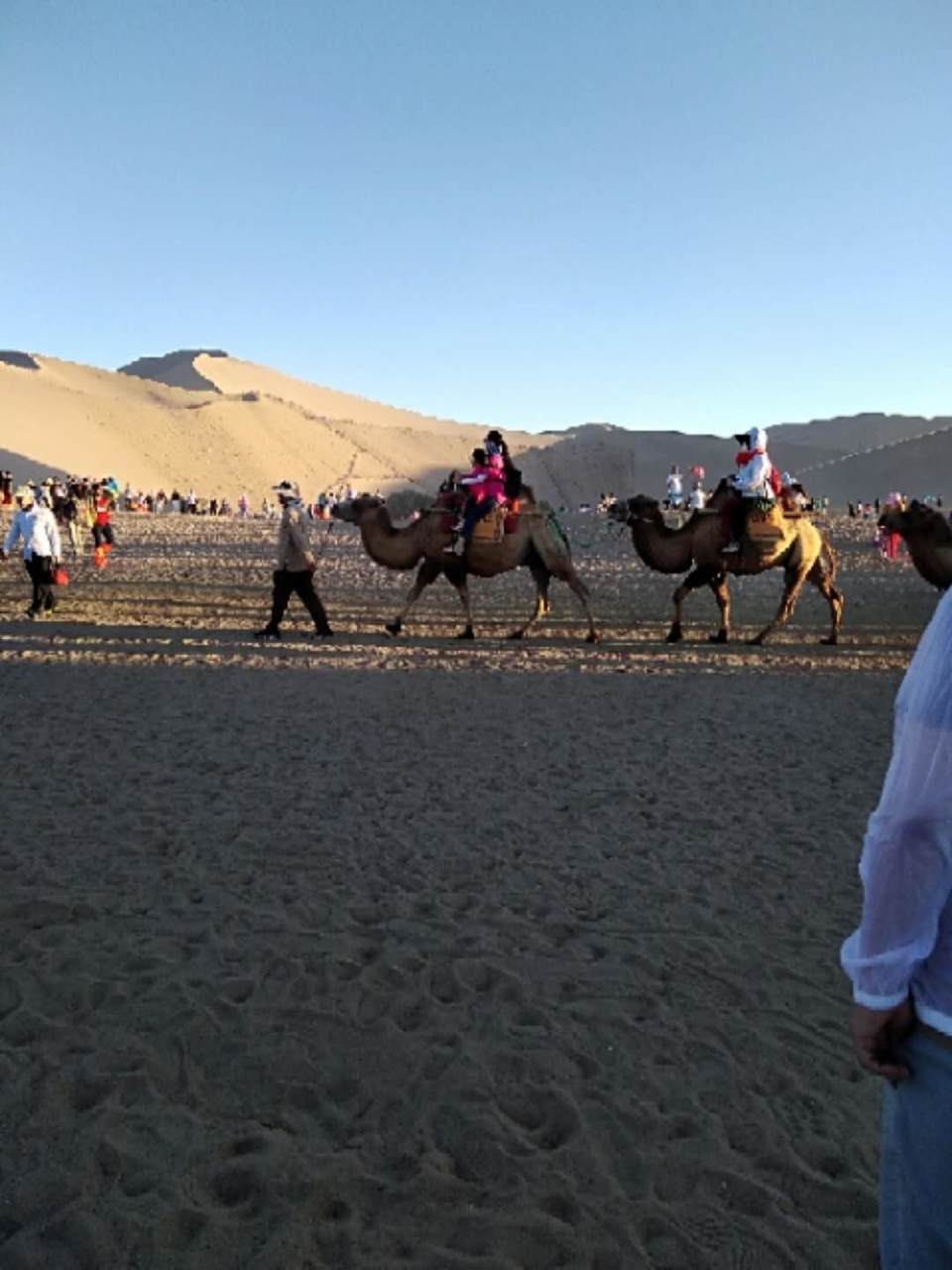 cLc2SJN45qtvWgtsYNL9jf0Nz7JksjrD--3i2Qkjn_0JB5vH7u4_2CNpbwXE4d4g