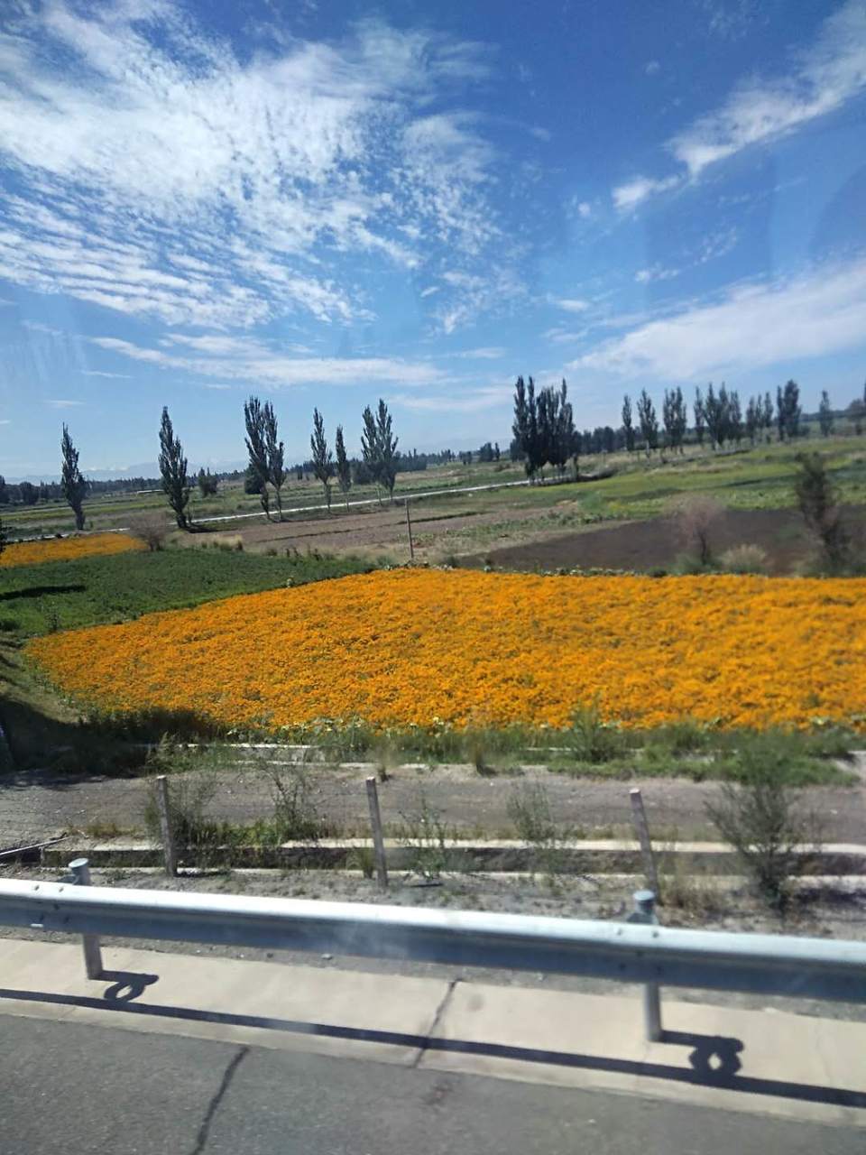 VaM42gxM7Bq7xY6WIEddFxboWhmIRA4ZW7QZnJhqgY_-Rn8uUuC5aXusEBmsmeX2