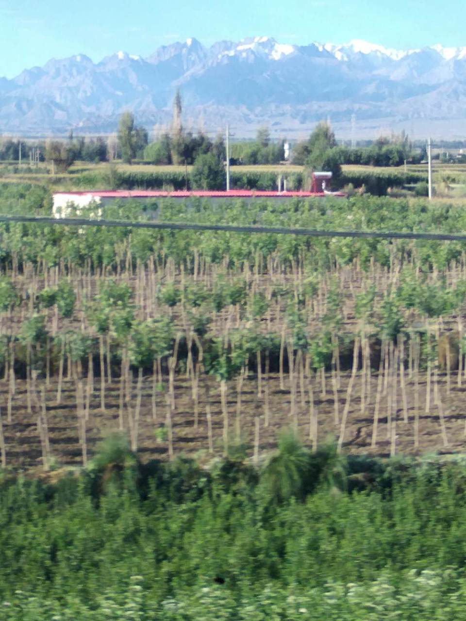 8gjeXA8ZWJkLG46k0uRAgkXYTwLdBvaxV49wzzEZkuX0adTbCJbwUuttjFSiylho