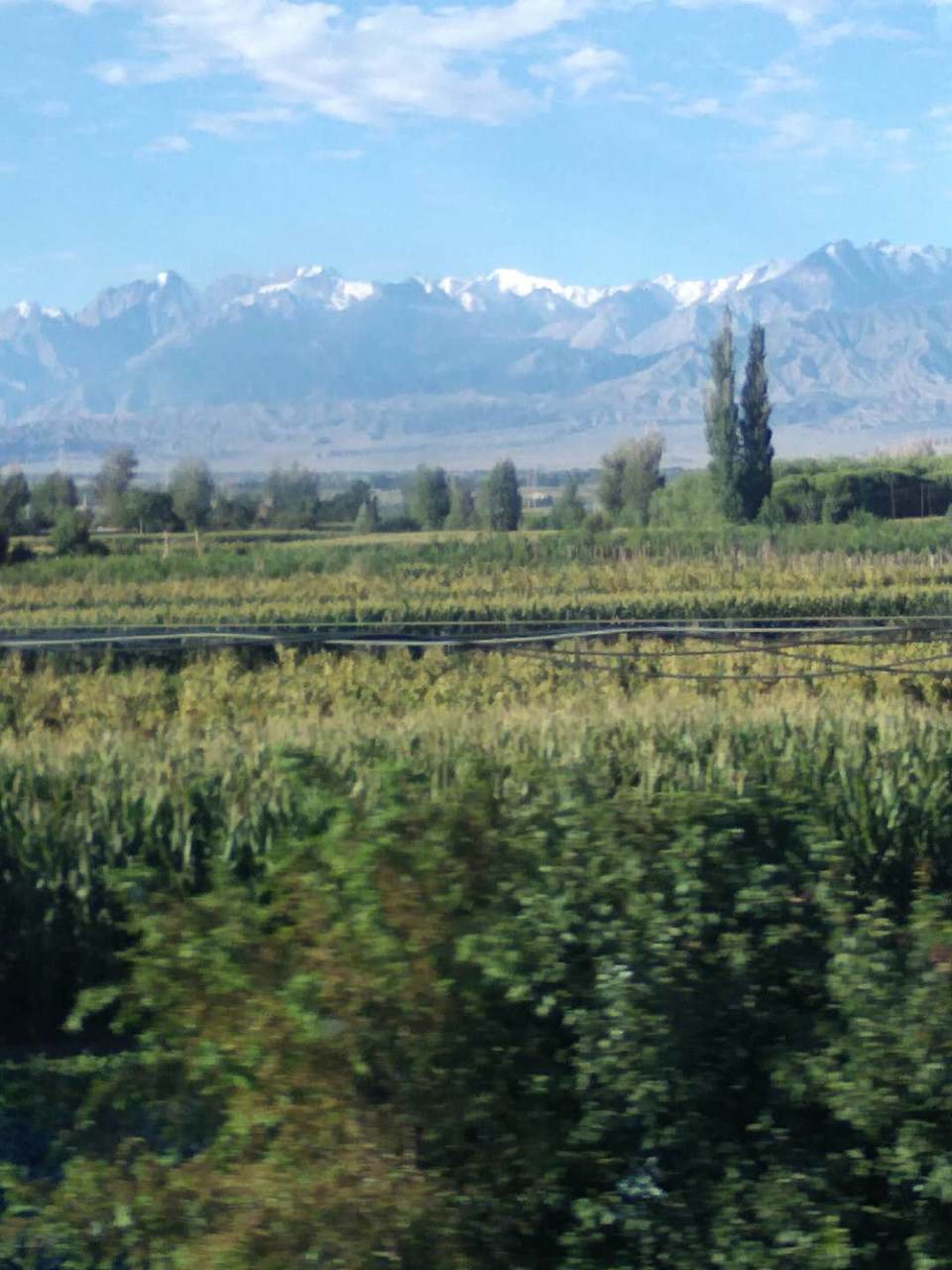 7TleBZqirEAZYWZ_199JznkxsnXxYRu0I33UHdwTy6OU06aQp1z66Y2RQWJuhlyj