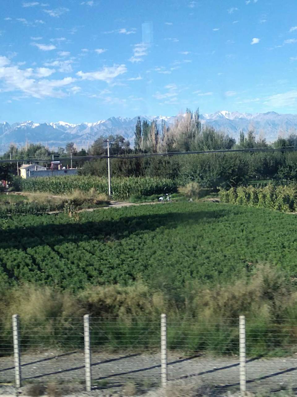 o-AxZBDlZgbMRfsuNheDkDzJKFo5CmVDNoMM9c2VjduiCEmqIHUIksRk1mRodCl6