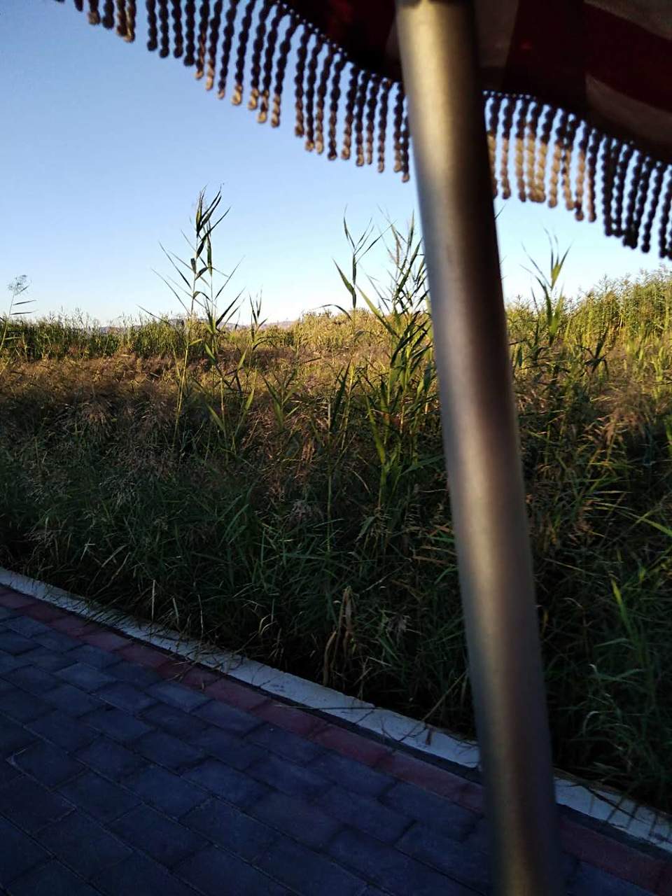 pVTxRl405IuXu8eE1Bz1-HwnWOBBbD4hmgi7gbzaClDM-IjsbUXBkL3qCeXBvDZL