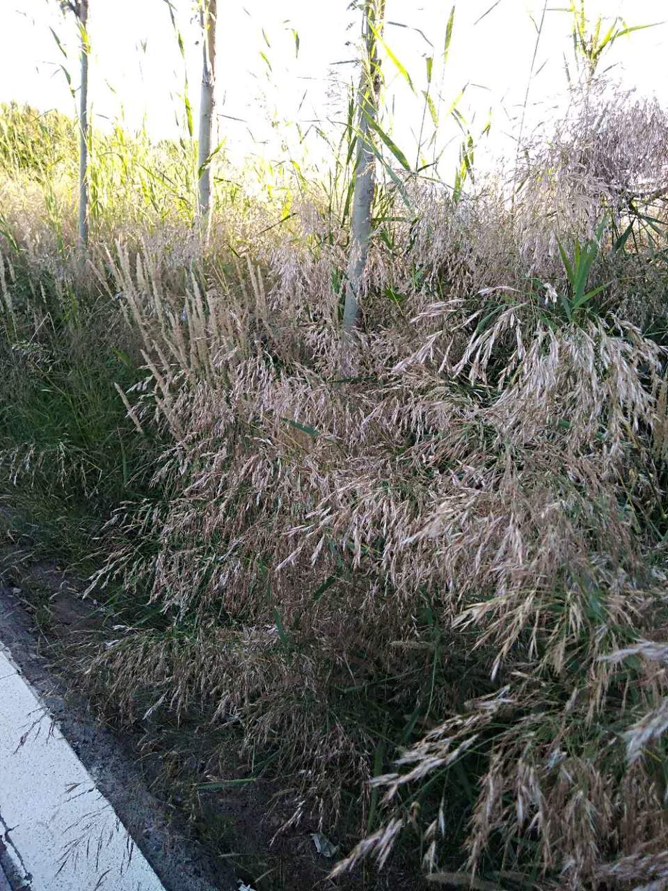 6Lr6Zk0doJSWLDKE4umj6L7nNV-sT2gvH3Cf7YLFkdbwtvcLdiQOvo84-GGXHwWO