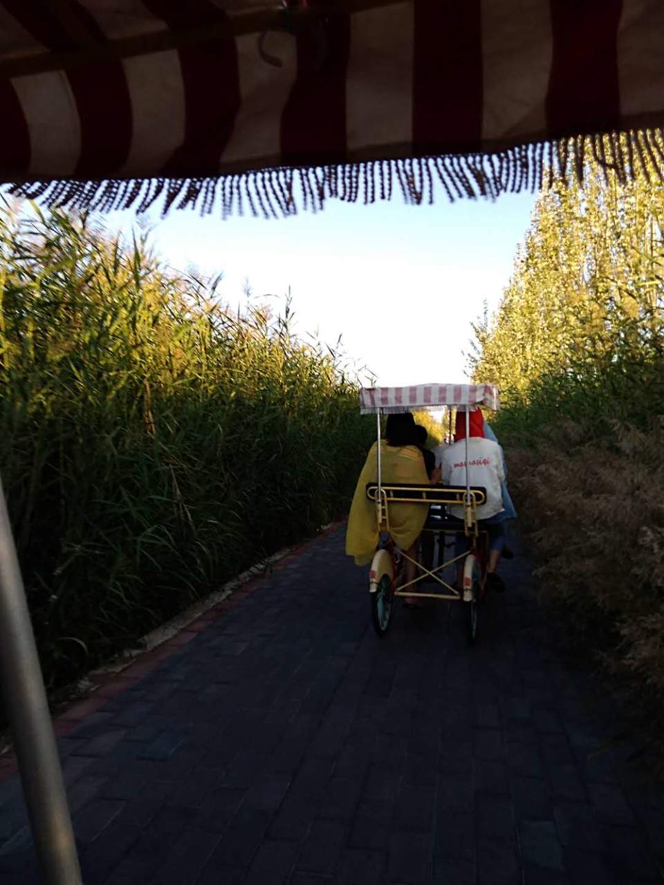 Rq1gwQMJ8Qk2HJjbNJ5_XXMx__8qvOMshF6oY2BBou1SyaH6ro8jS9lHdp9muGsg