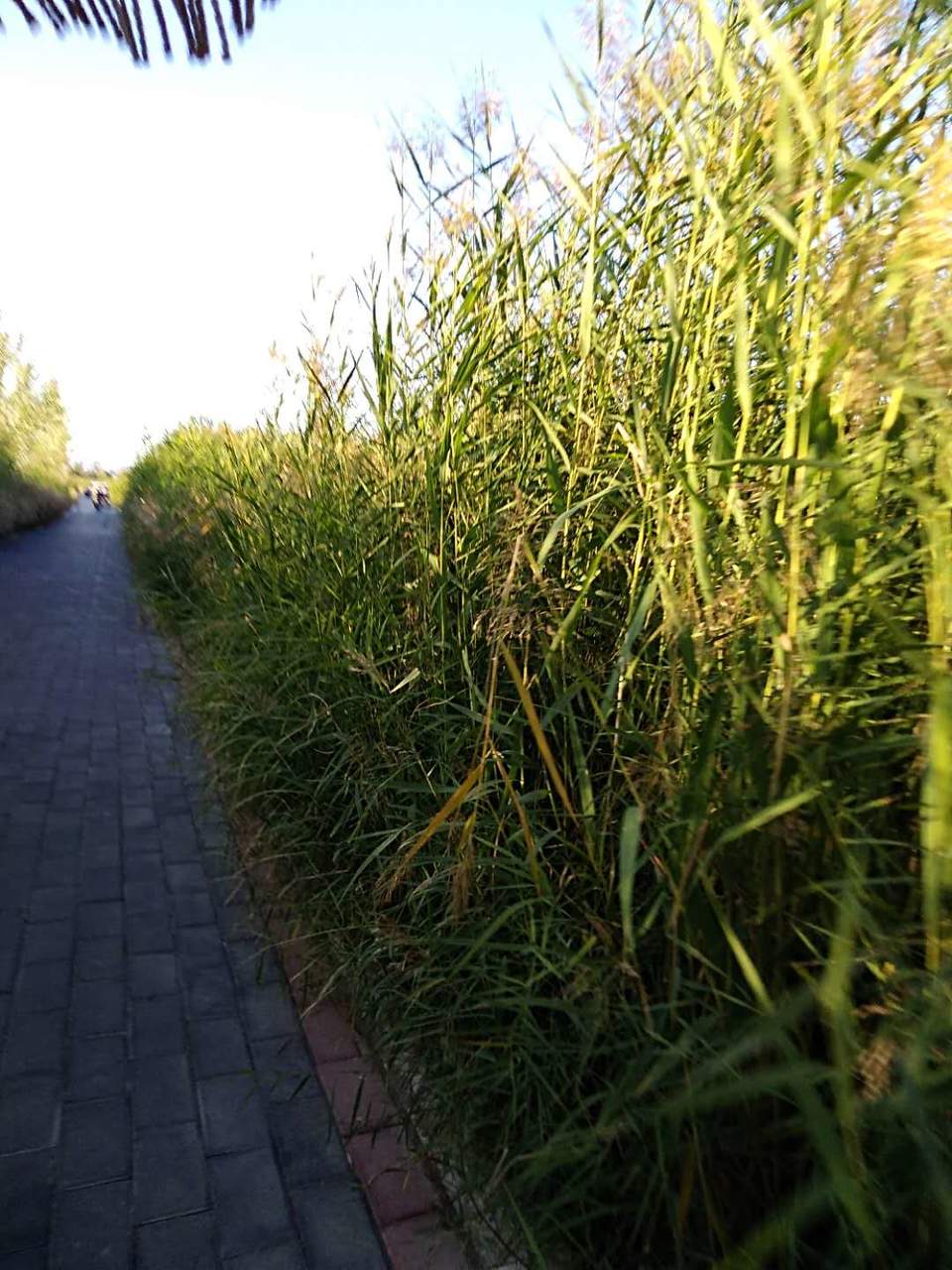 dldaEDkMEIY42lxmzC0TV6Za_He4PB7kzMrkTmLkUcCpTRuwMj1TLSWd3DJIdkOK