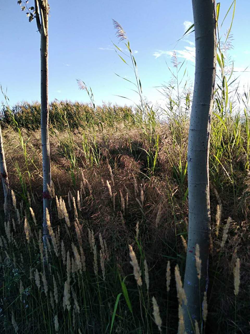 IJBAzUncTbN4P-eVp6aZkMrqNPsw9i_JqGcgYUzH1ElJXc1wxsg5KfCwQ10prBPx