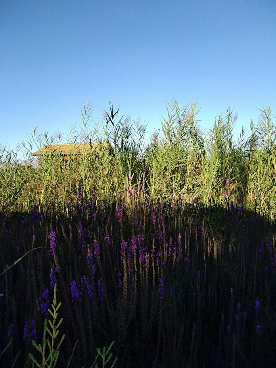 zME0DuHy4Wii076XG0d1Nxr88i5HfaoH9382WAdXGODzO2nZed5TAnz4Y9Ycq1RY