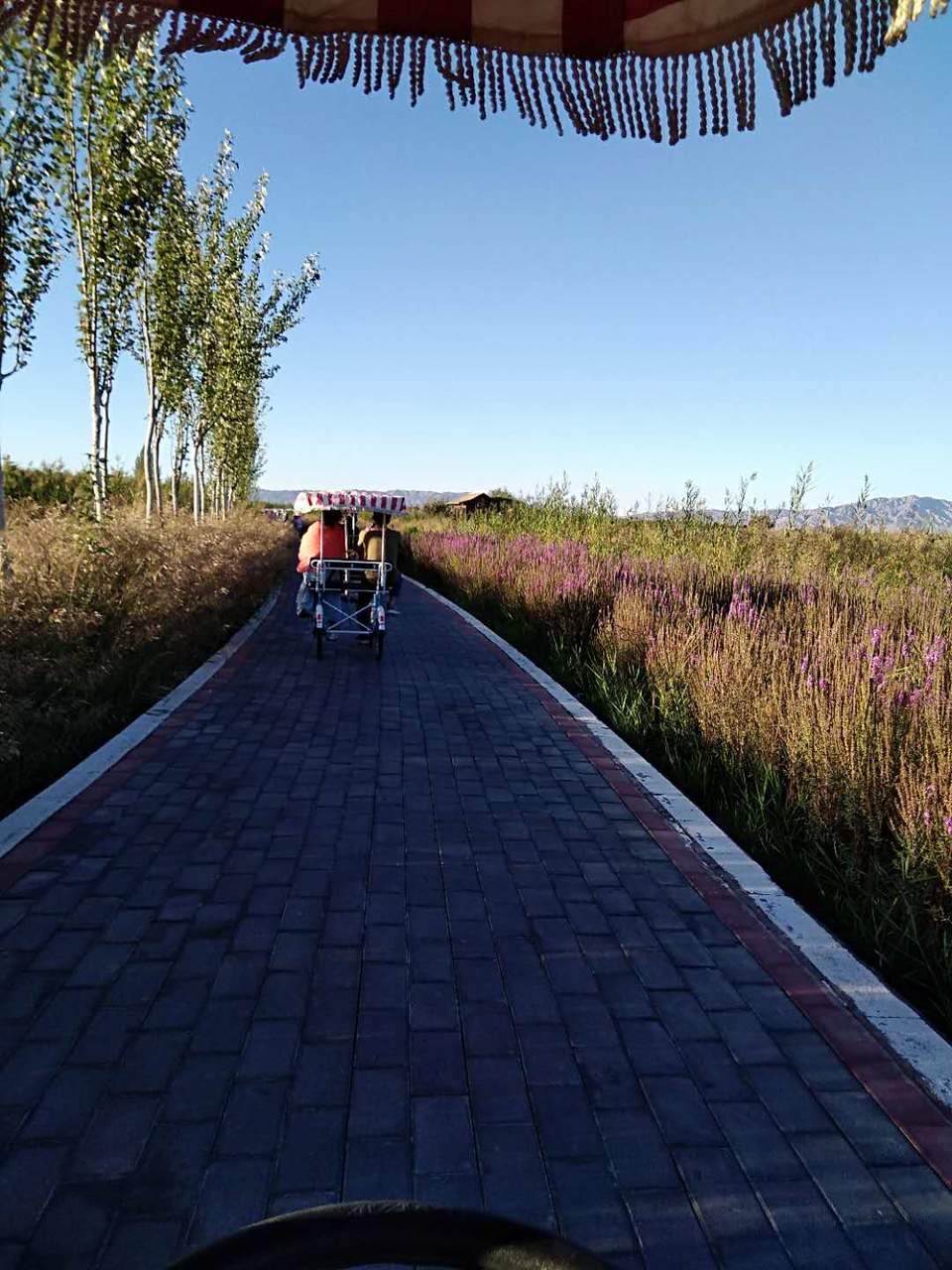 VRWwSiYgIBntZcsoEynW8uzTCQfWiizzjk4rCZ-6ynBX7TdIJDZiq3z4CPTbsWHs