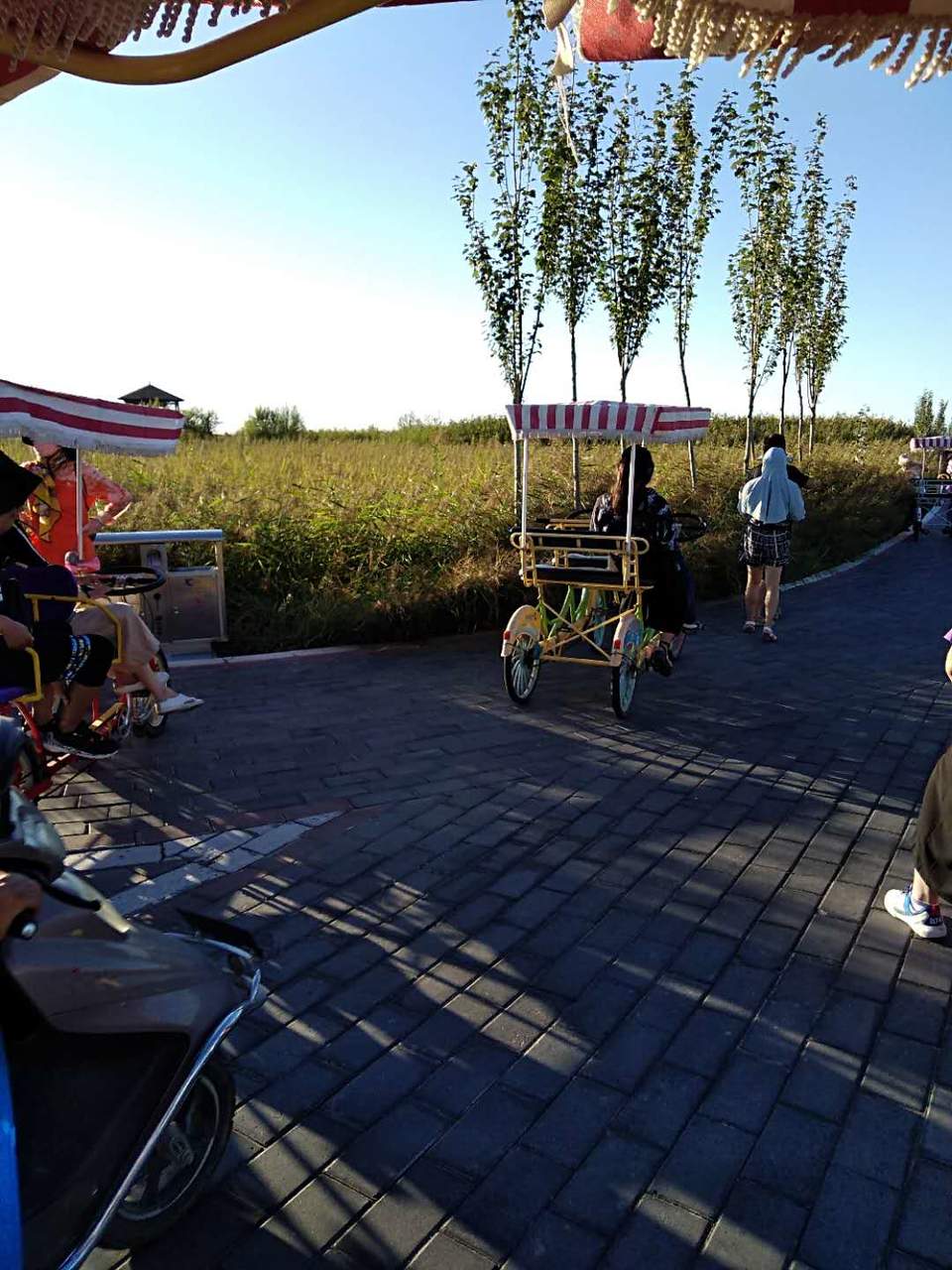 9gmOeUhRDFUU8smxF5ZwK7mO4uxJu7Cfr5E2tzPHVjOeT-pgwpe8vQ5g4MSt5Wau