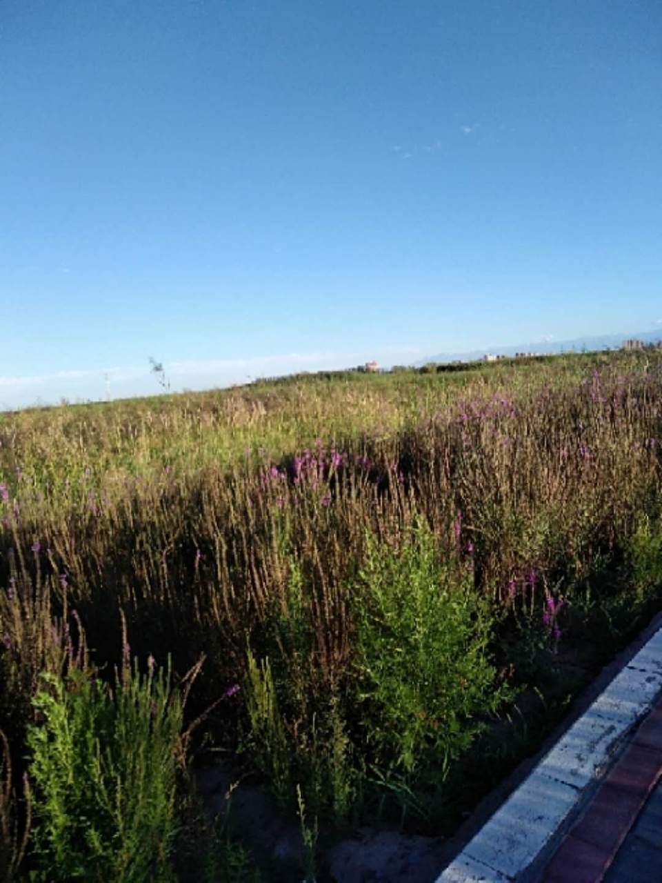 NDtpD8rfYxOdxr93VC4lIWVoQIkAhYaLAVo8Is7jLx_fW017E6CrVf-Z_fvhp6Vw