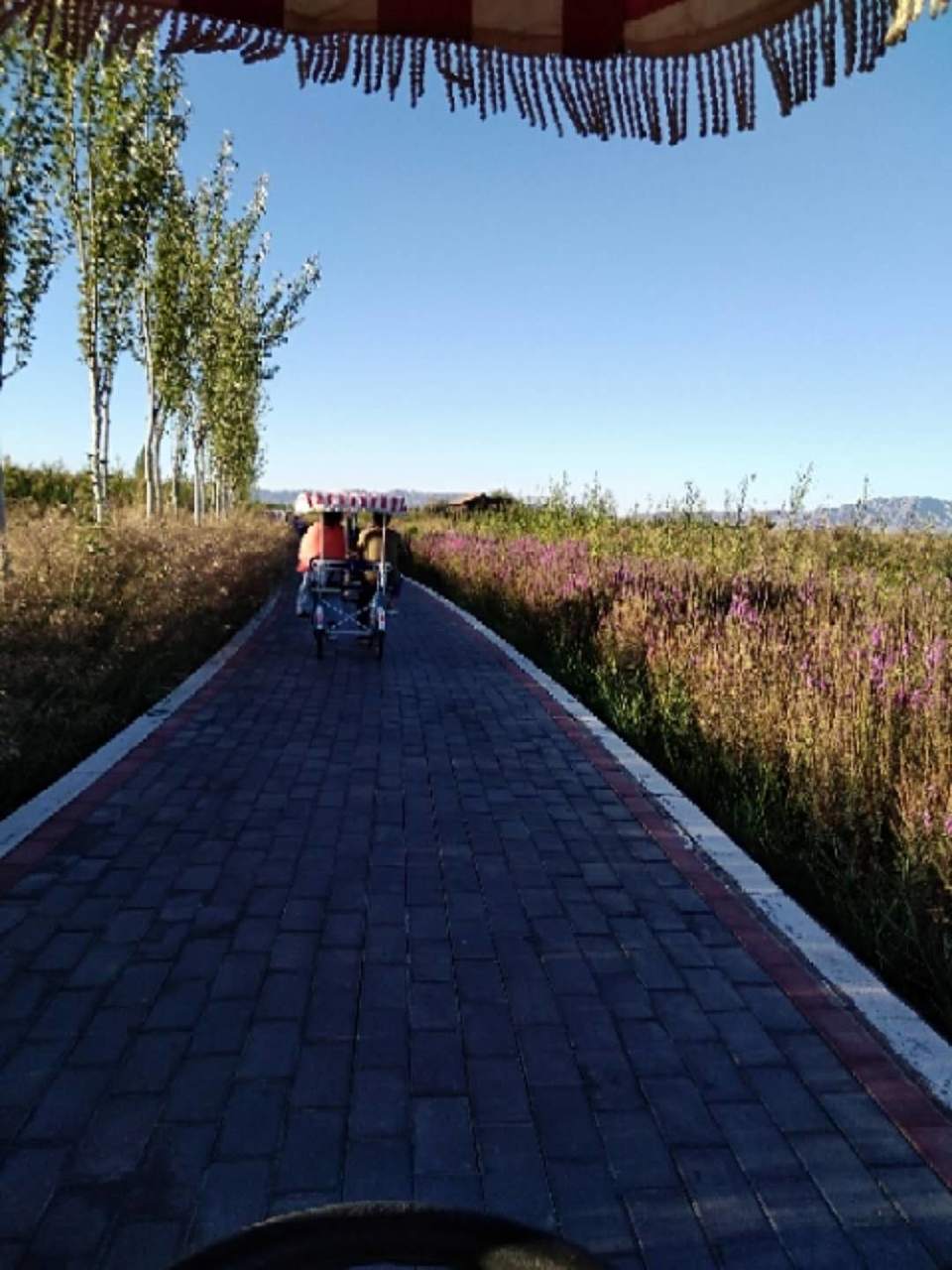 x0HrtqqMh2SdxihaE59sNrC9vMVZLYGVEedaPZCKvLqRYI5gDKqBQDak4jLMpvd1