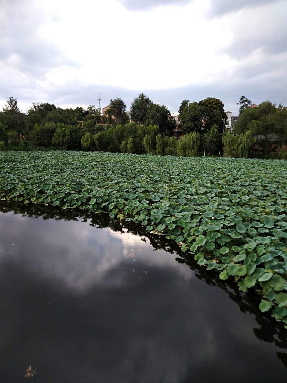 HmytGMd90rJYjqSqh6zpKvqvJUJCt85zrf27PXtGG8gKvn4vRSL-YMIj79LYPNJC