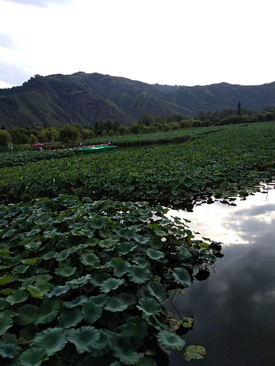 Tpz3BYTlLsXj6ftOx9_Hyq8CHAYzOzvredcbtizJBdJnlczXJDH6sVwalXbsQ1O9