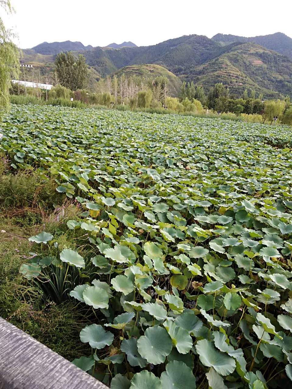 QctWuQujzEM8r5ge_e-23cFmrBP8ZEssicRz1fIWmn0E4W-5eqwL4fTSH5j5DIVs