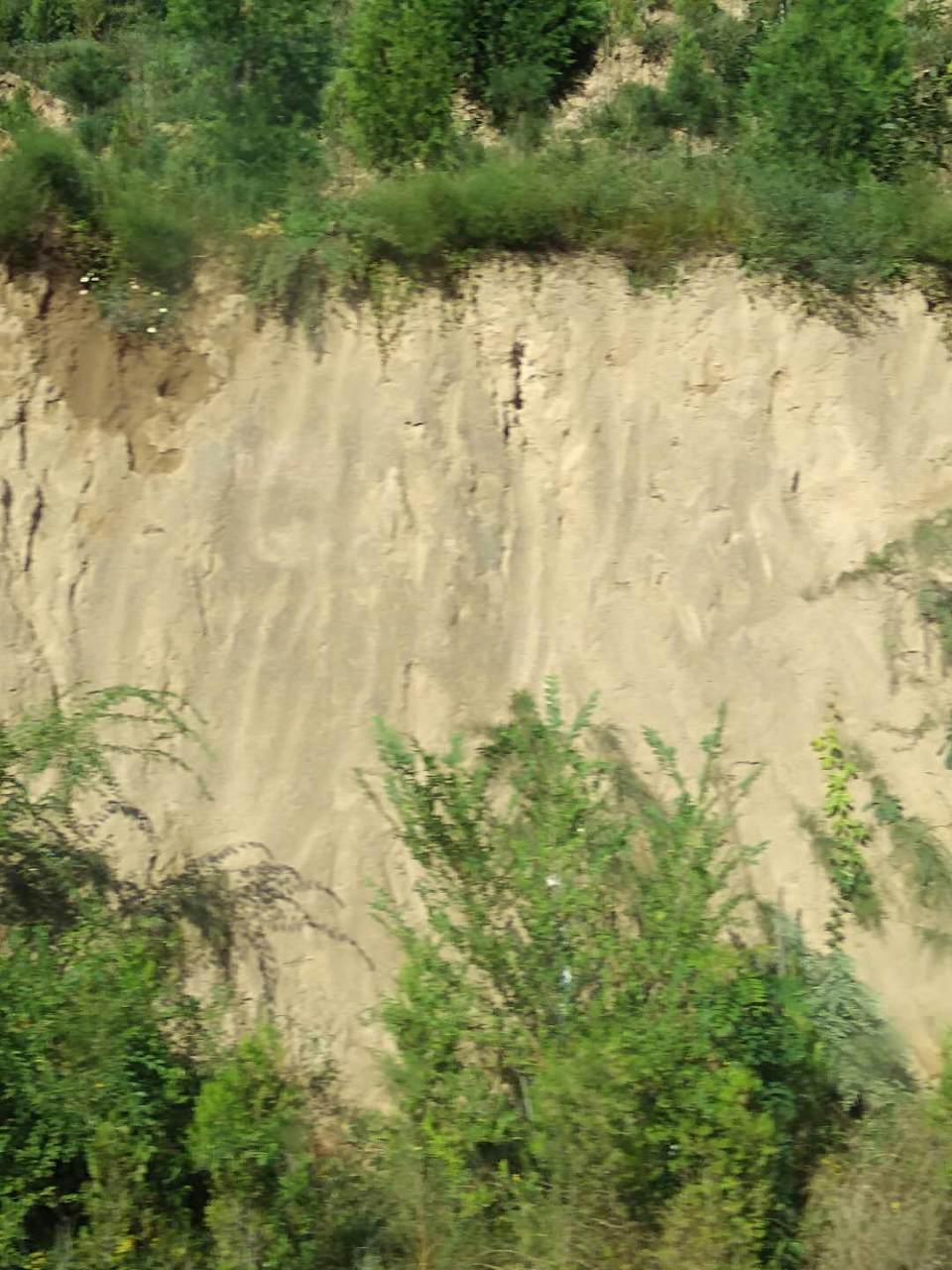 mowm0E68jDYcL0zJ4keUfautSCjNyd3ZEvQ4YEs5iCRlwl5rBXlH7bIYBgB_Rjkc