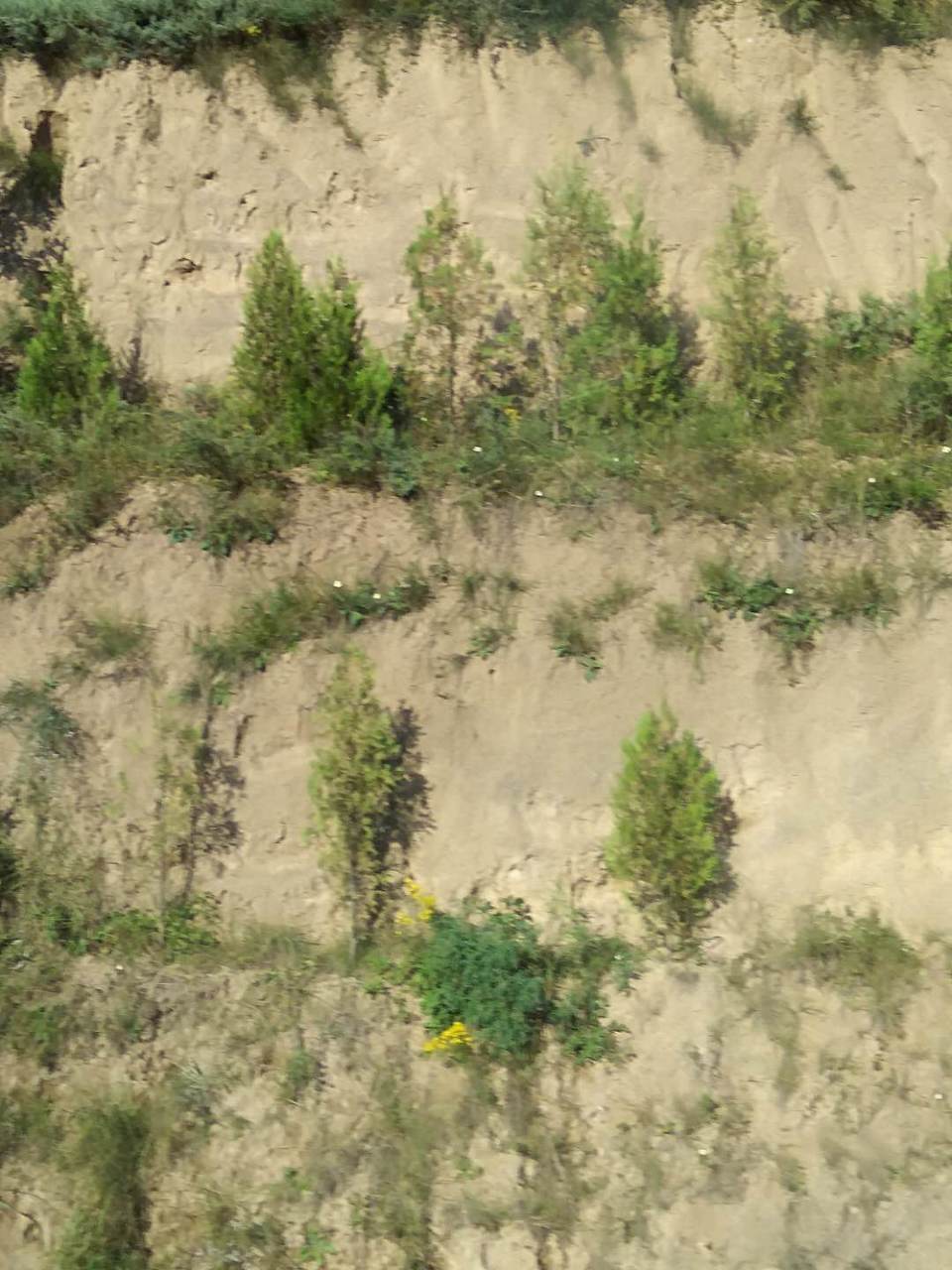 cnnos4NUp-PvR6hIIm3zjp4Pu4-fE_Xfrzo9j4wkJeqHWvRUBUtIgznJk63BfdBt