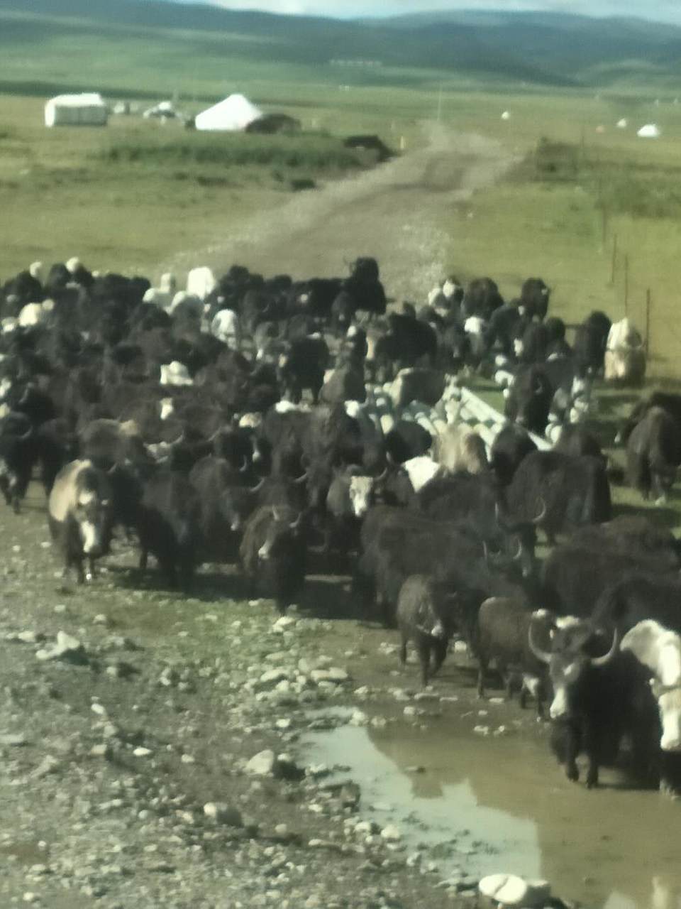 FU4xjk5rA9cthpJaicENgFId49wuqny0iFCJhtDeSdzieuWaWSpptd7040T5jlSL