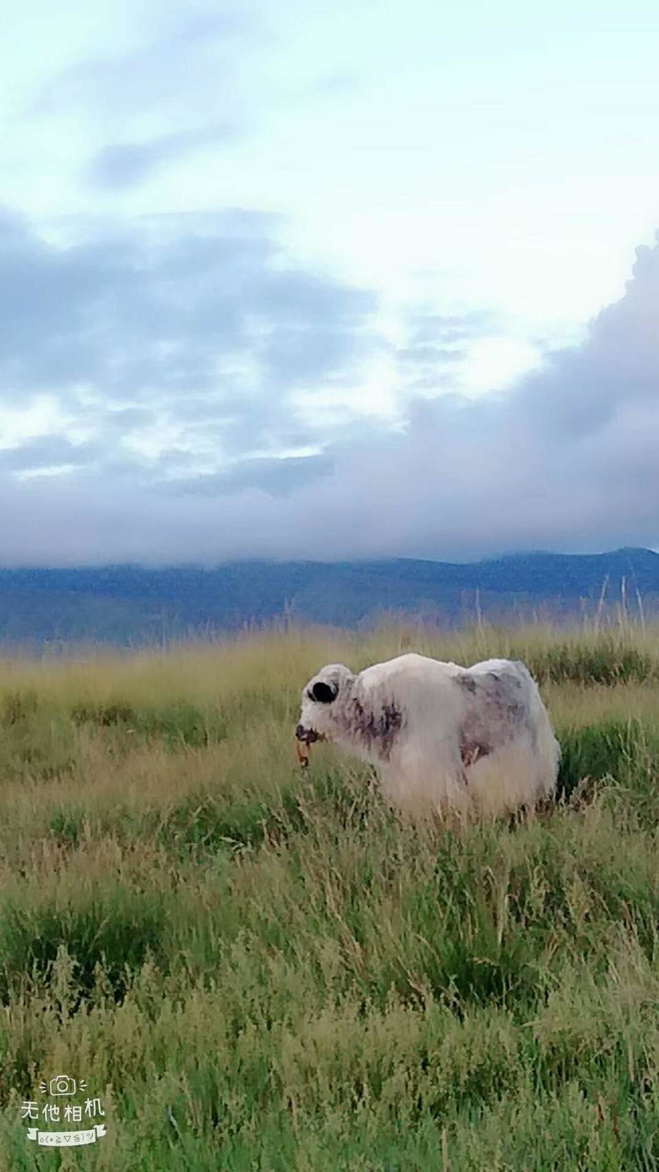 xAGDo-x9WrxqRX2MpS3xv3l4h5kpLjFz0UBxte4rjNstVwEBr2JqCtT6rhqffYOR