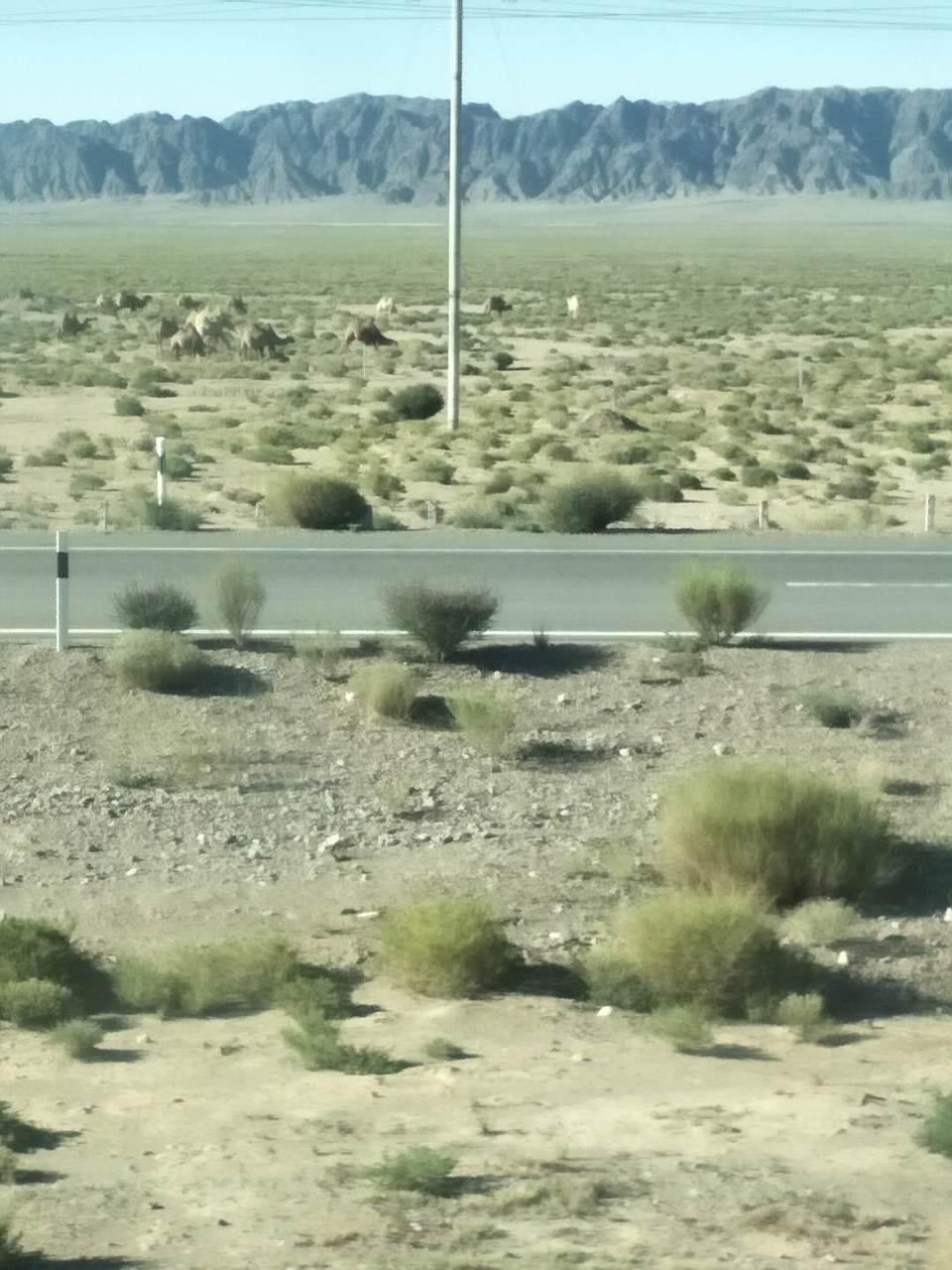 xVwlEs-epH9zxQoerkW_dCAyX950rU9jjbK4ZzWe_v4nxKGelHHy8_A9dasddbbJ