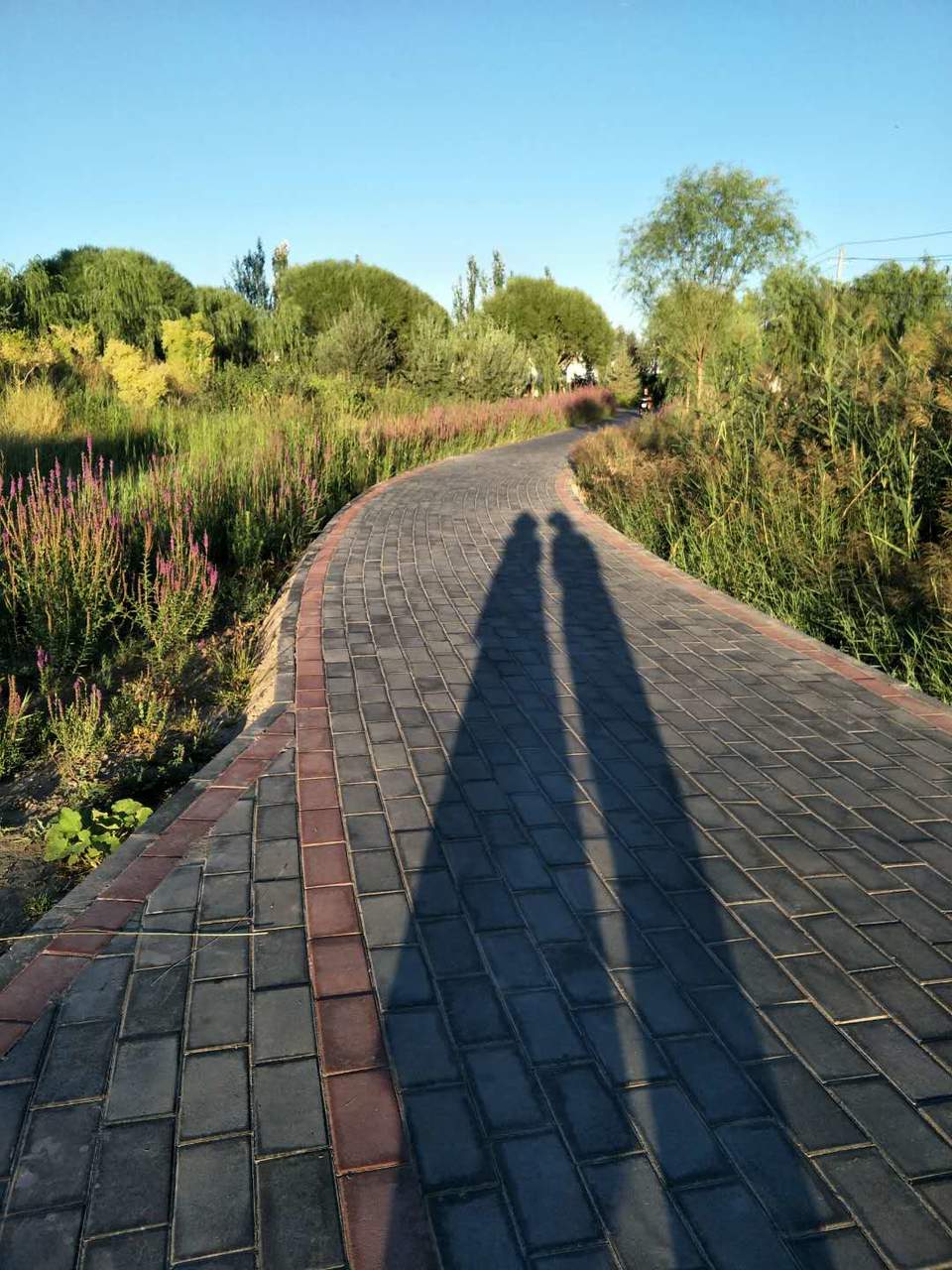 z2Oi6GDd3SwUPHLUGn4w14E55UVLXXIjmgBs-X4FGphjvRGl-hjN6Dvy79Gi-sCH