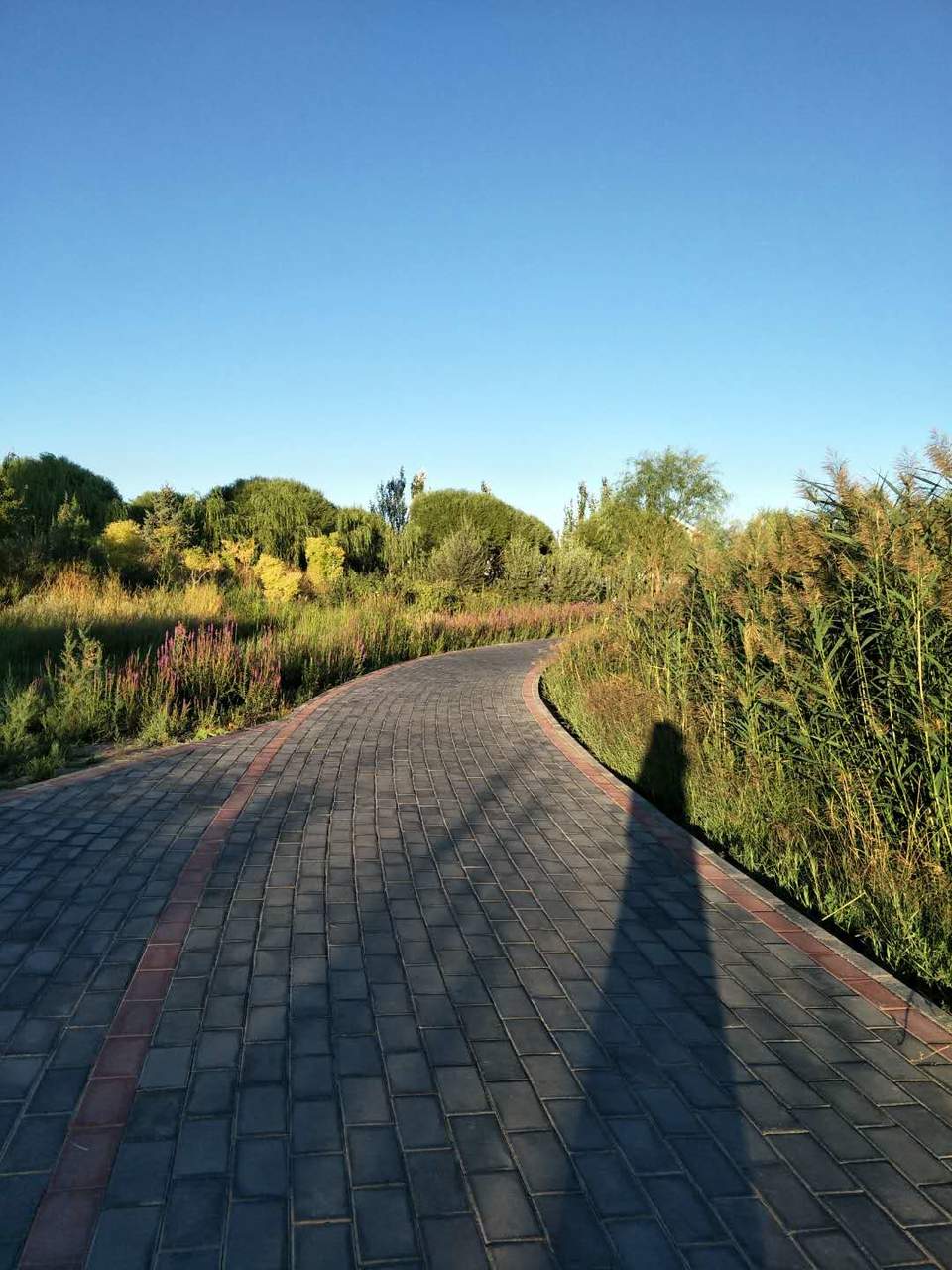 hVklpPz6vfZFHyDmlqnOCA68mN6k1jqbl_wmc0JvEWQYM8G58PpXxldhP4A4nbpP