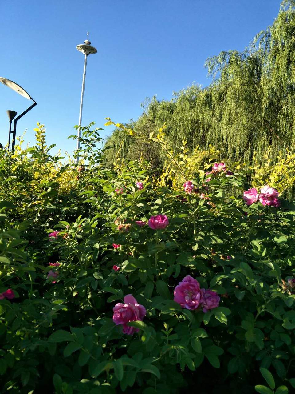 SRfyv9XoiVfsT2y236Eer6feDs89rLxBTSjPDrAXz3OPFPzFskVrI02XsGFw0Qlc