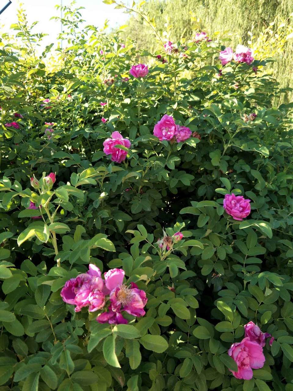 sgCspSPPuTHzFEUHHdRGB0vEXlKJBdxEm2Wz80C4grmxRUtu3WQhWBZ-Oy8r0hJS