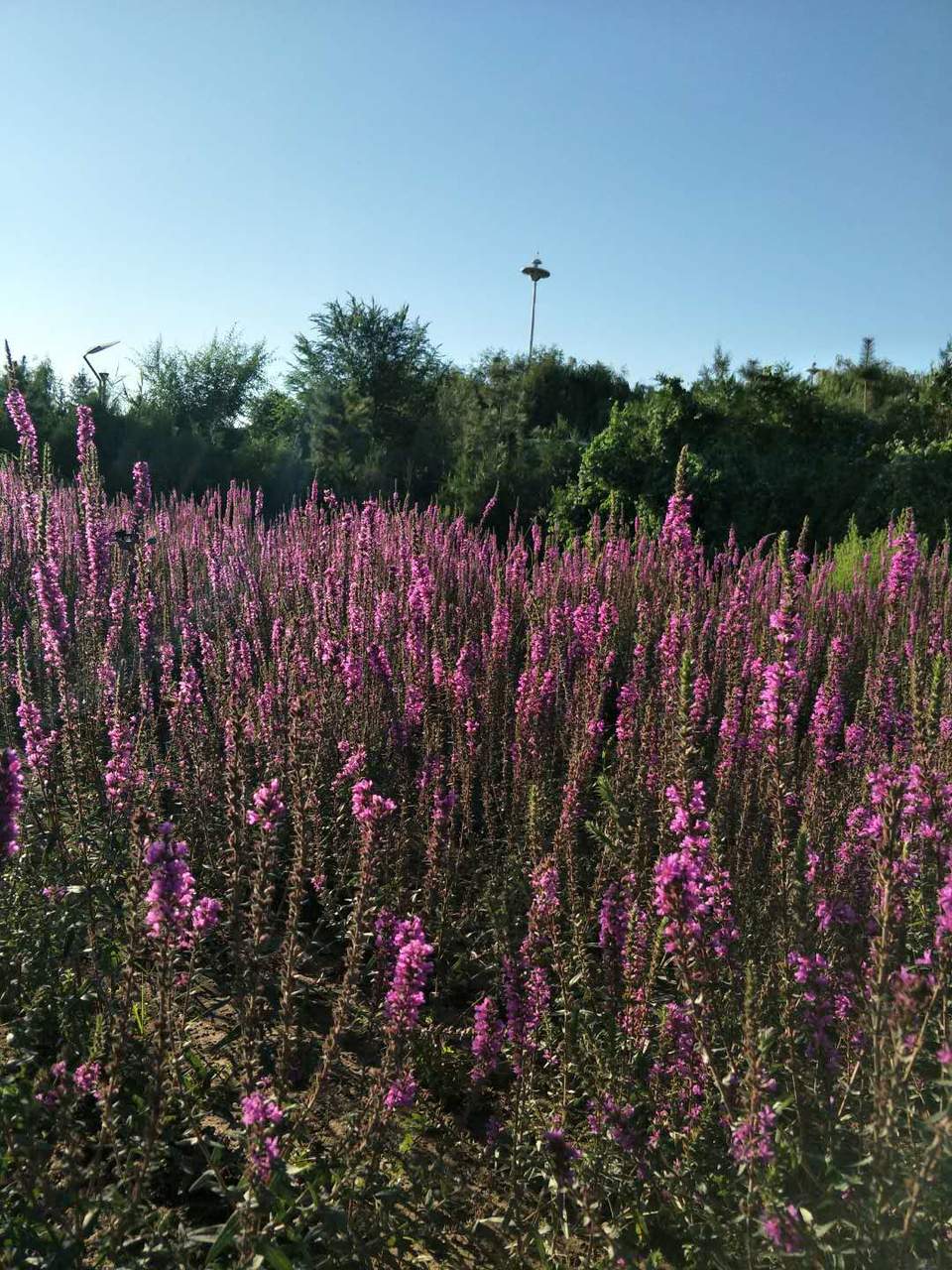 Eg2SCzDjeOWK78lrsPQAPqnt_v_fiLFjCGECjoYHoeqWZSUGf17_98zM-tFkgJoa