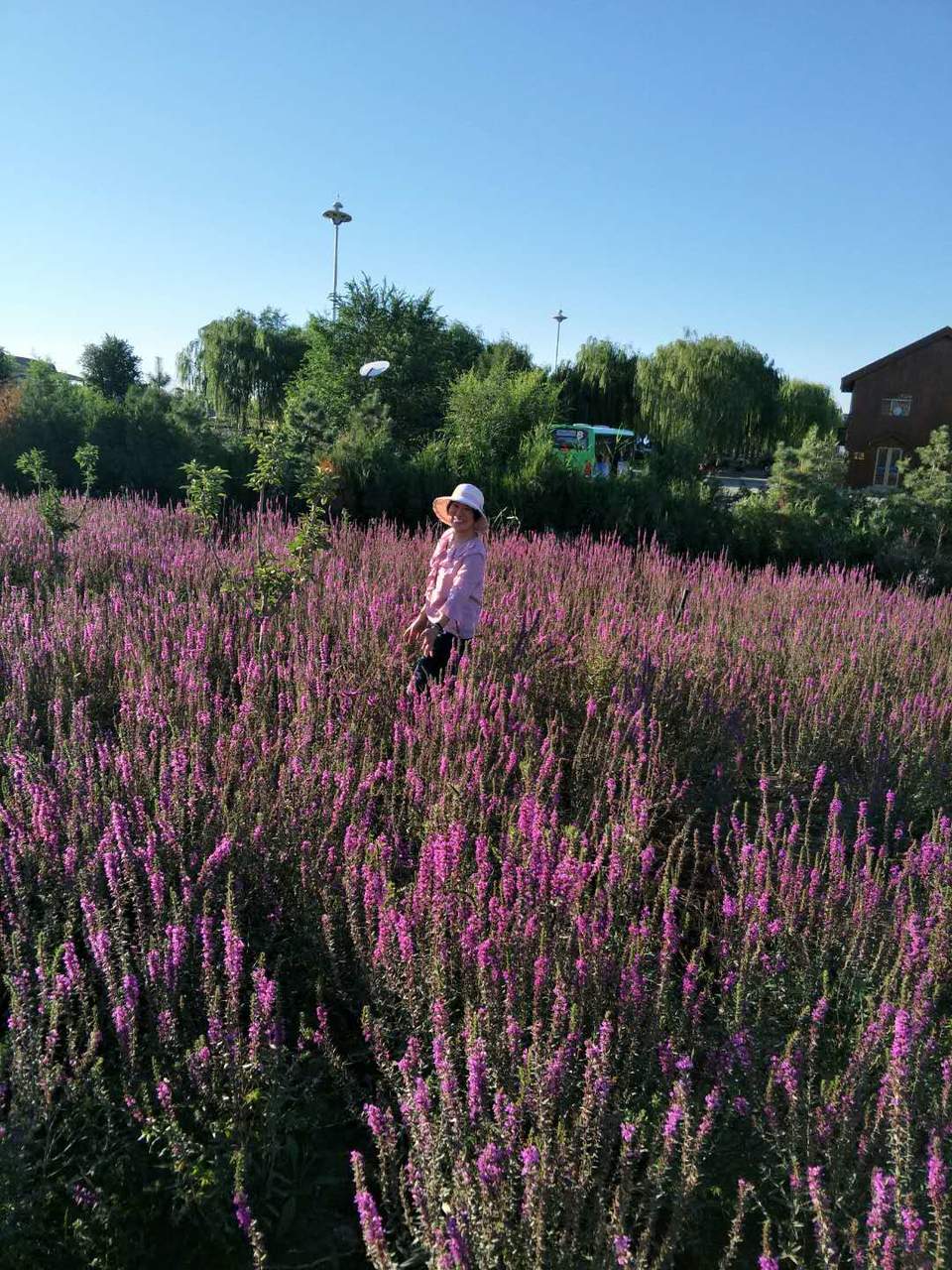 g_Eezzsqye6ARgDGImaziX9tNlTy500xMnqR21wpwJzBHB4yrM08MpebtqpC49XP