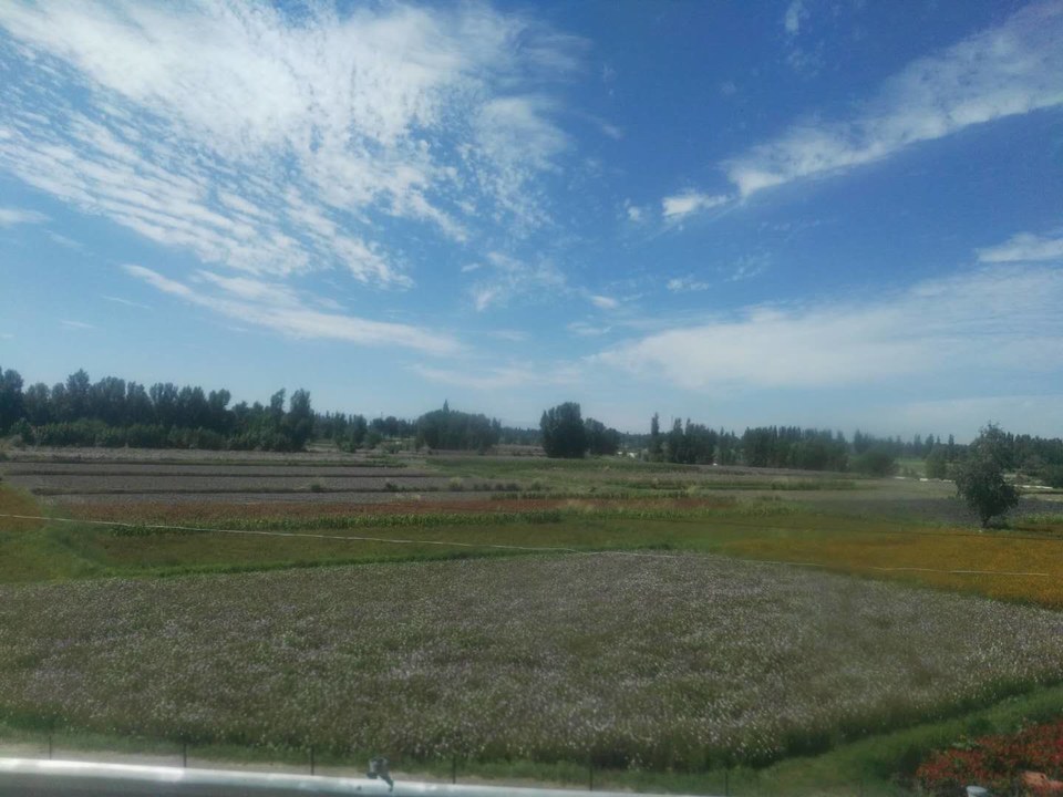 mIwuGpBVmSdv7eW6eiILwGnX15oLmn-Kj4dUfF1YJVEExlzV6bUNVjnaUsZj9RVK