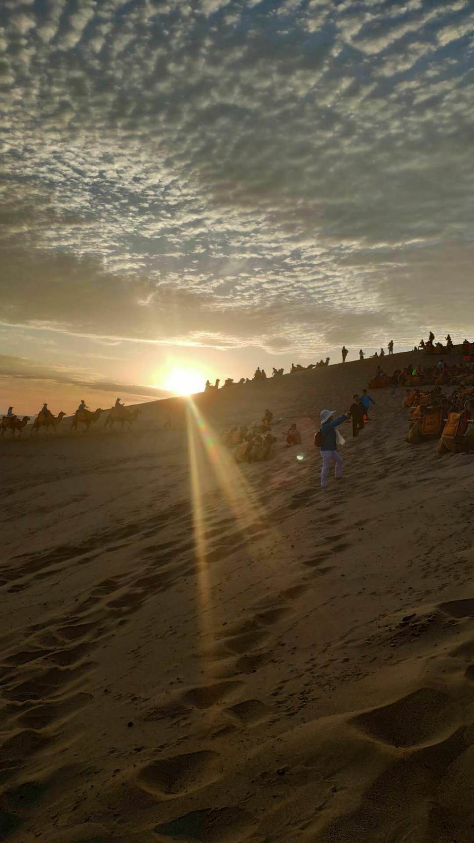 hU86Ktiv2kDzmRSB8aoS9IsJ7XvV9uphtYoudOlqzDIlUSgBQL5yxcC93HBx6vl6