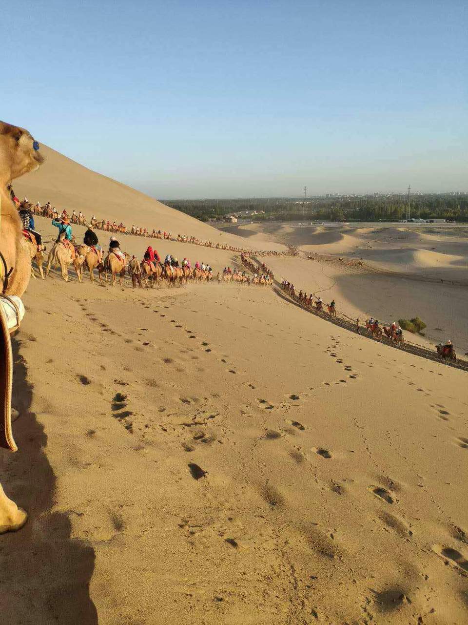 Mctul0sqETWTciHvtnl7ahvaq5ru8XG0U9Ew0RcYsIopQgbCnMXqsfEFjJLpK4v_