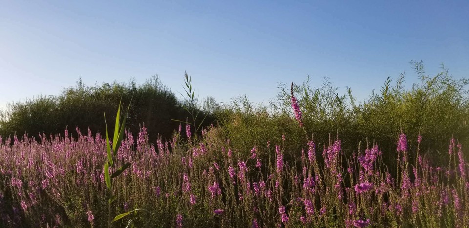 A2GBGIA9H5tMEn4W3fahe432a3IGtGFrzp2CKoedBDL2wi4CWqbLlGKJZkFbatPm