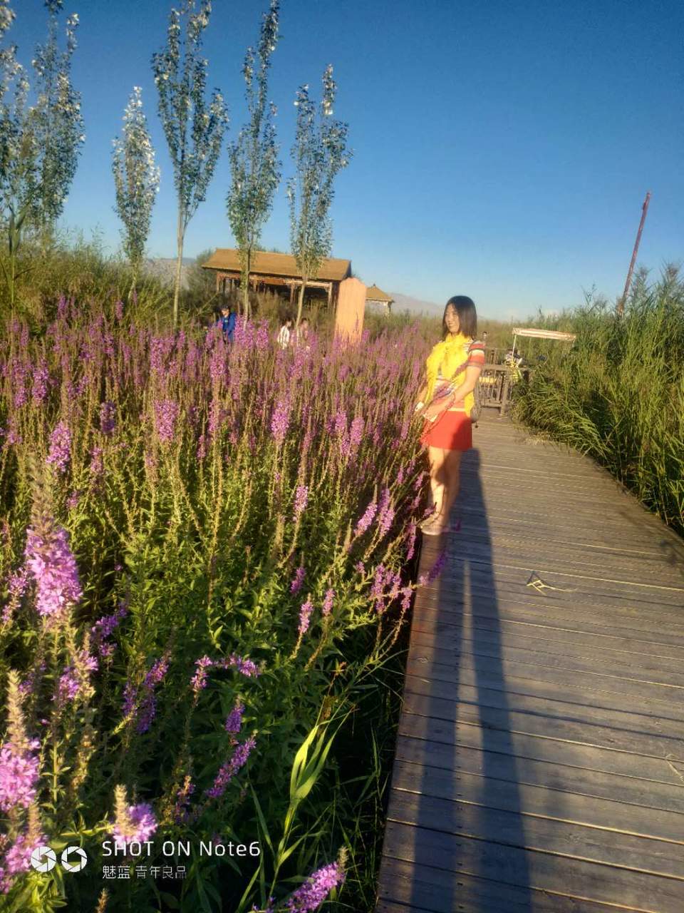 vZQCVmVNpk8gdPvGvuslptSVorOlSks4xZawWSDqWsYG7ar01akjBm_3aCc1HDb_