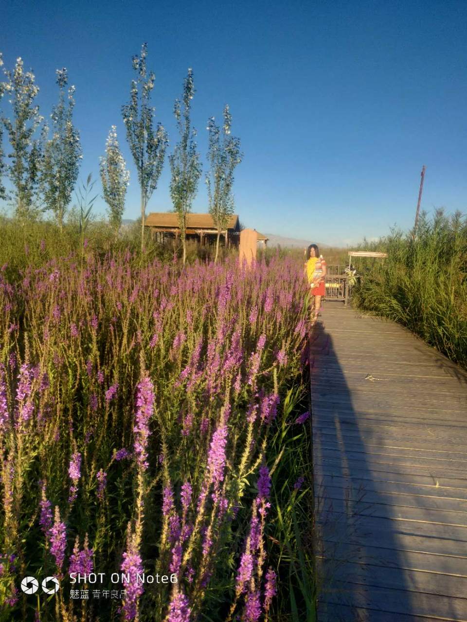 SRfyv9XoiVfsT2y236EerzJaZxWBUhj1ZJIcNI9uOGkoQVdq5wghc9WBrli3q7yW