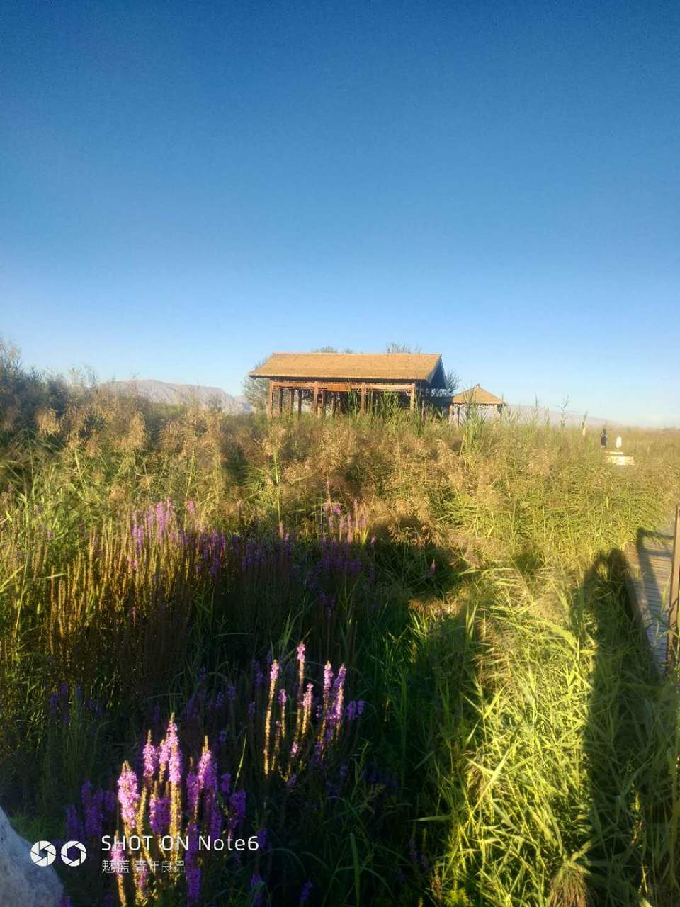 3FR_PtVFEadWNCIN5ESmwopKM596a69lvjzZC-ulwKNPqbcO_4-qpczB8sZJRH1P