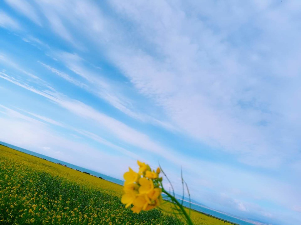 RlRx4cTNqhAnWxdUpeLTQBfzqSMKNDd55fmXcAMTqX-XFzx5fFwp4Y9MoccRqBLh