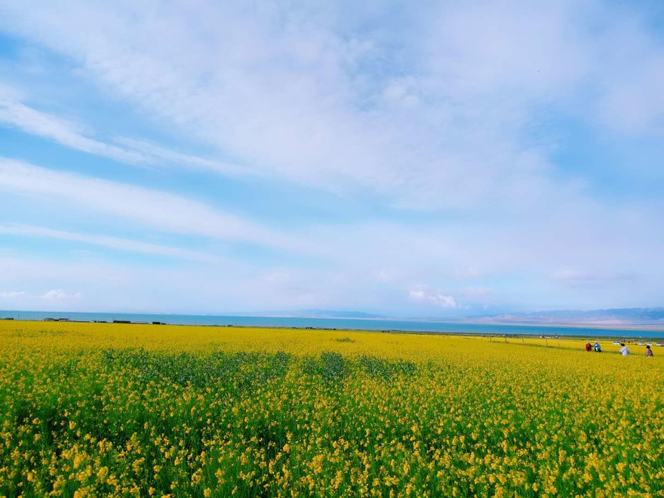 KMr47BAsYWslfdaRp1_vpyNynVsVJrtynN-JFnbo0oWz8zQcxLQqJT8co1x4THQ7