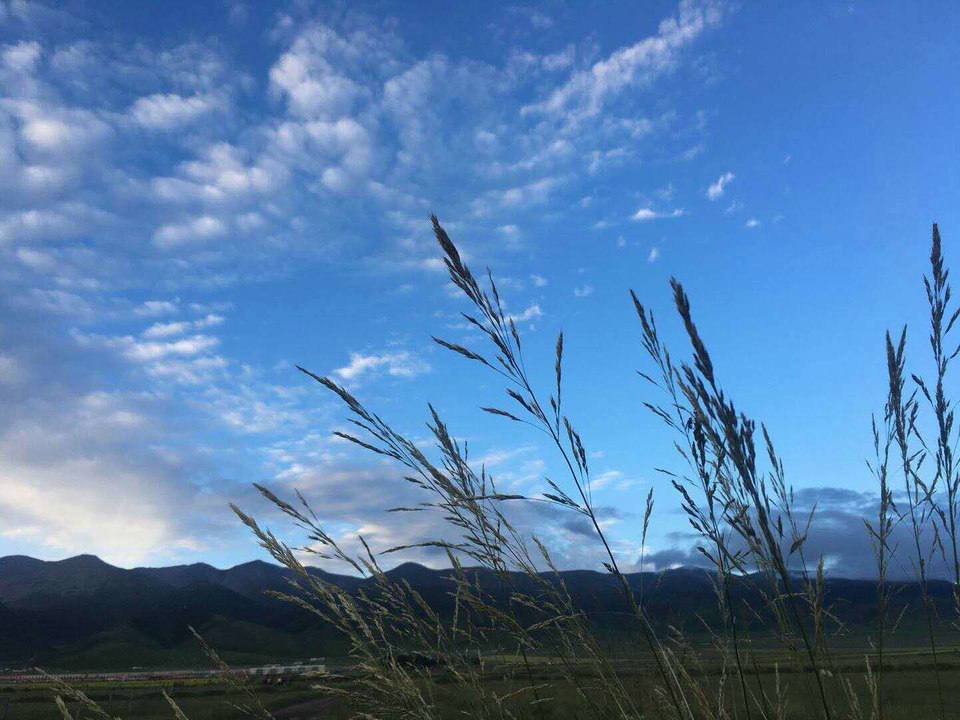 Bx6iRav50LlW2fZIL-VFSyQYdkY8TtE4htEzfleAJwbk5BrCvs9qiyQid_gP5VRK